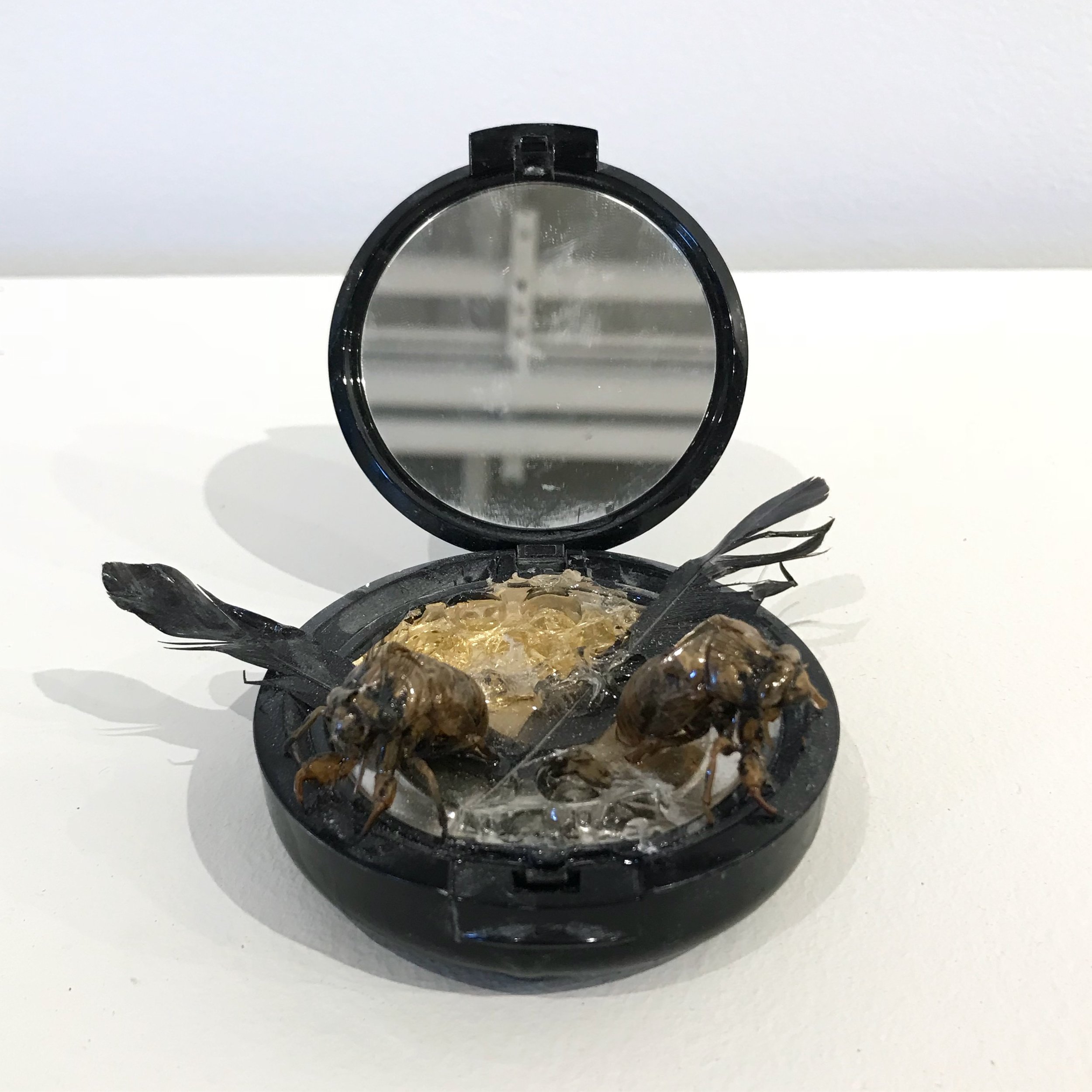   Makeup Compact No. 2,  2018, cicada shells, feathers, gold leaf, resin, and used makeup compact, 3x3x3” 