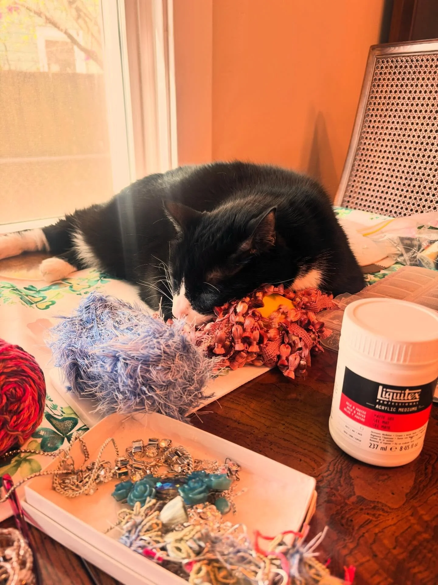 Pepper is obsessed with my latest @starlandiasupply purchase 😻 #studiocat #mixedmediaartist #liquitex