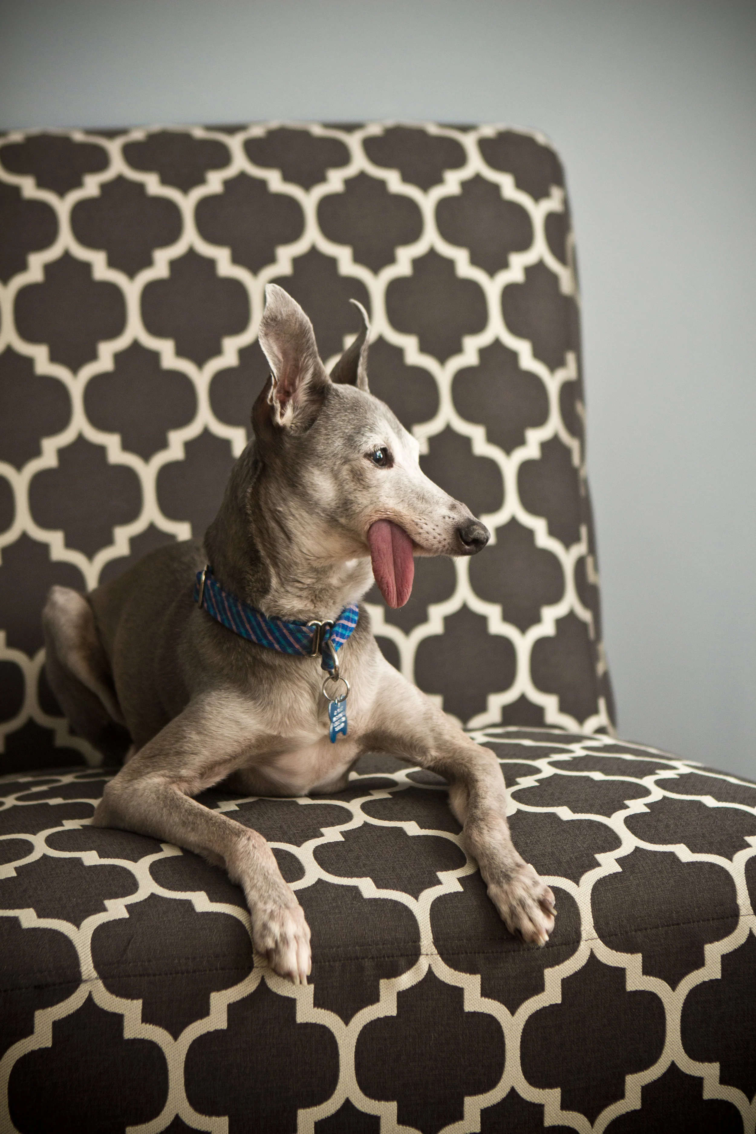 Week 1-Converted_10.JPG