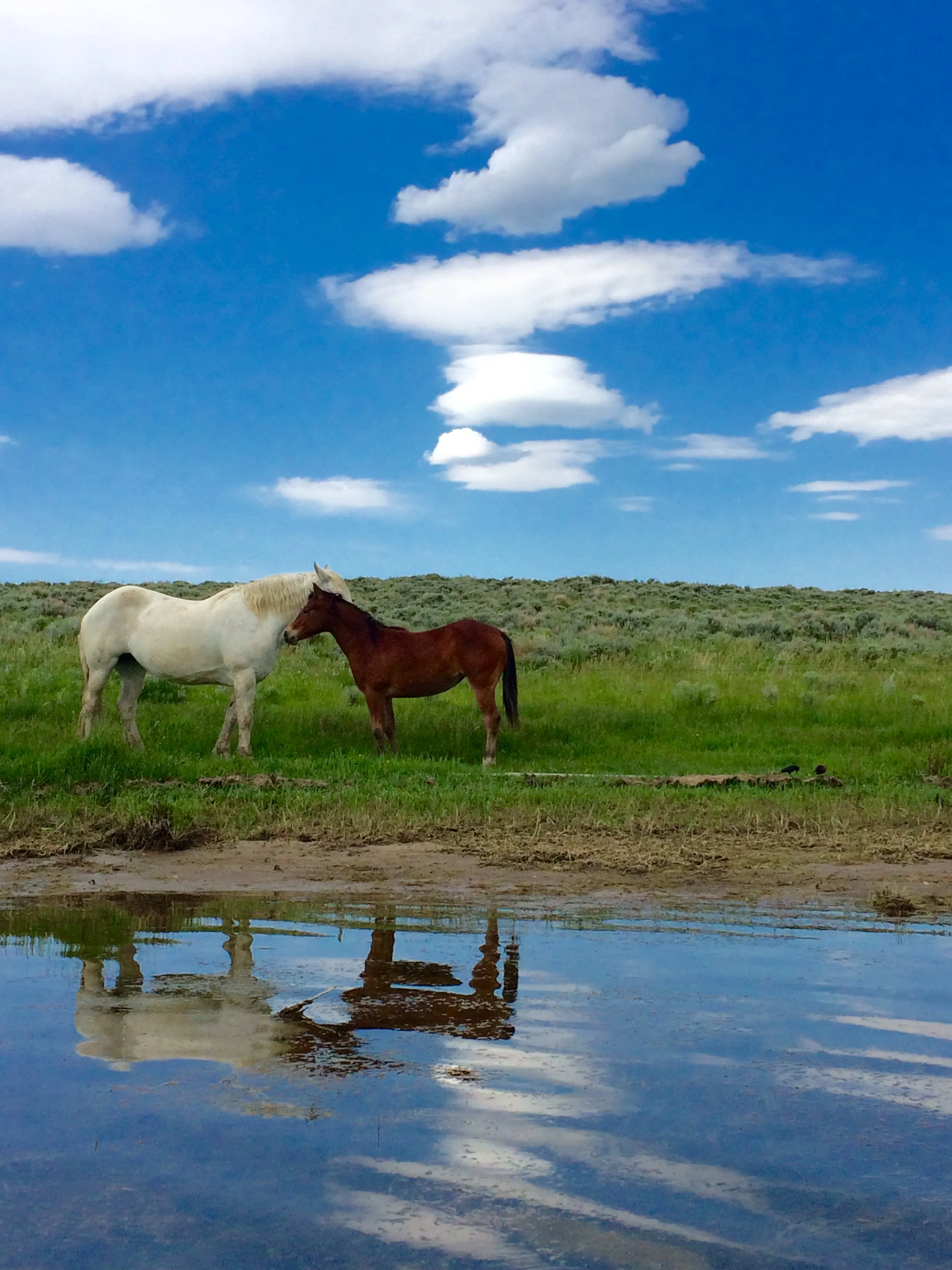 June 22nd Paddleboating by the Sheepwagon in Rawlins (1).JPG