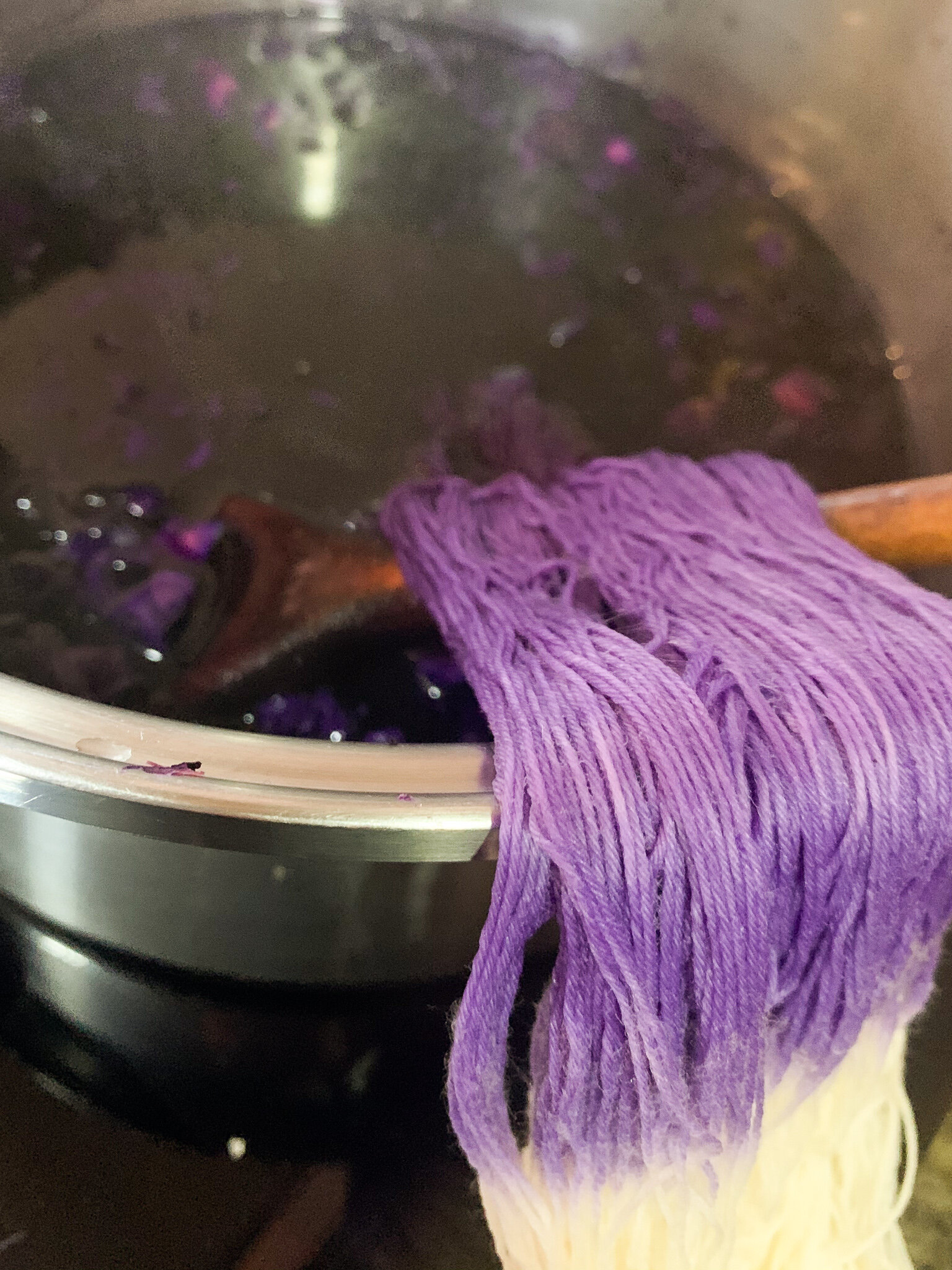 How to Dye with Red Cabbage — Zuahaza – Luxe Home Textiles
