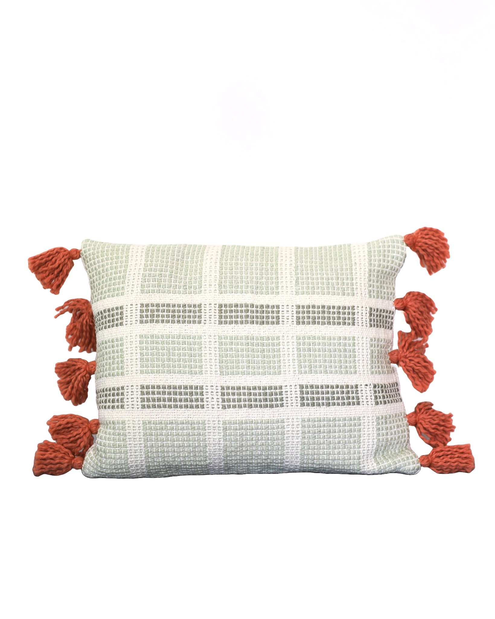Sample- Tucan Too Pillow