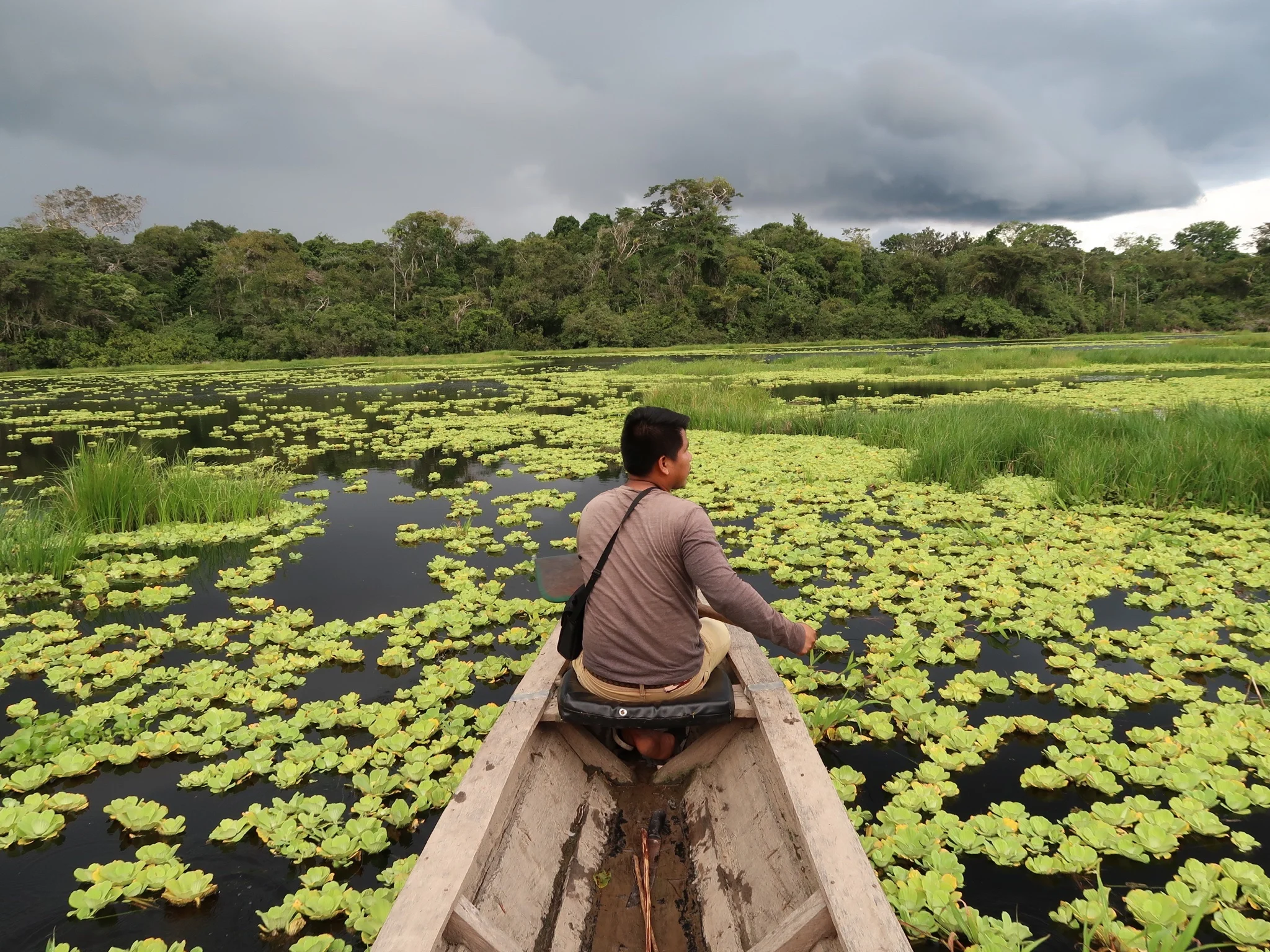 Quiet Time: My Amazoning Experience