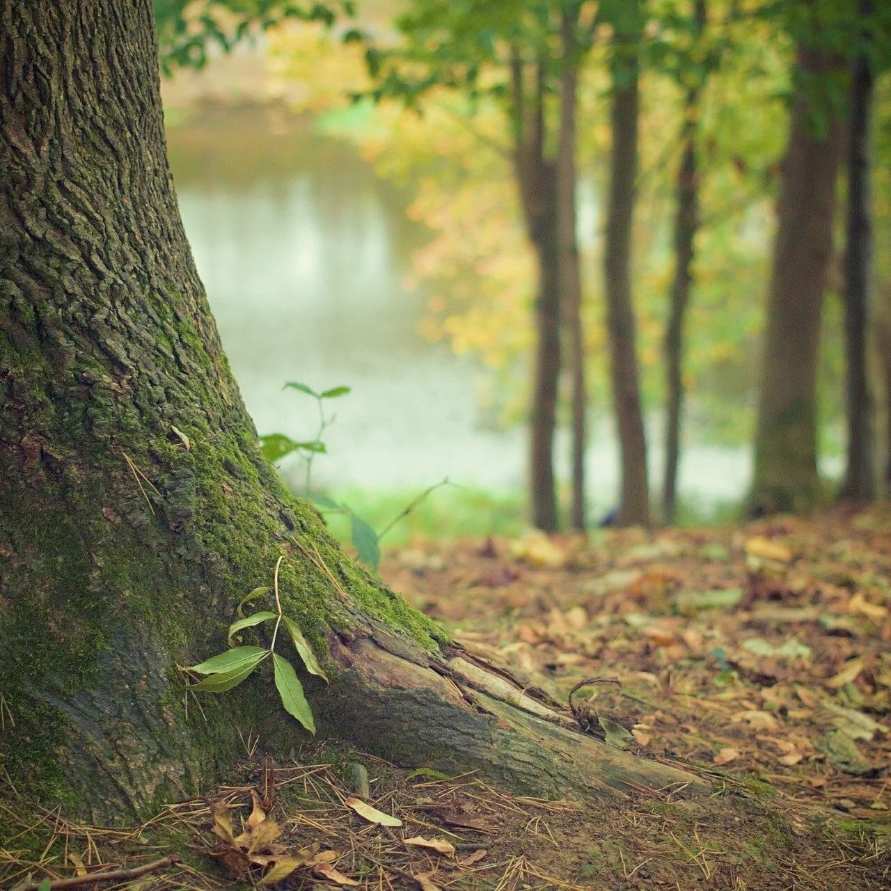 Self-Improvement Cliches - The Good and the Bad