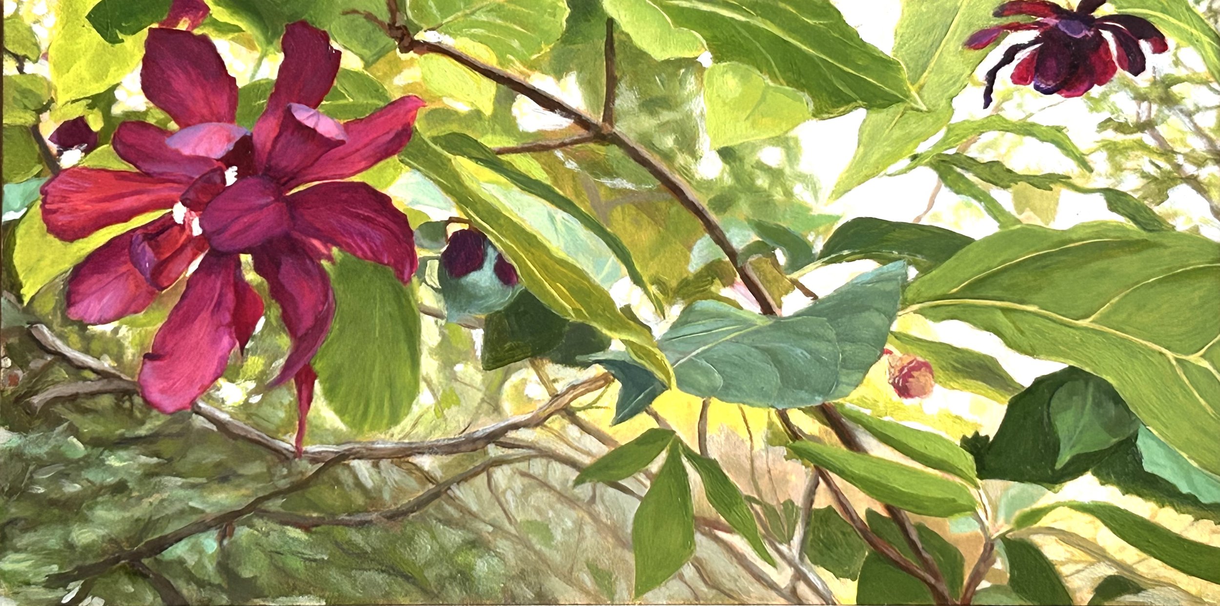 Opening Reception: Lucia Coates (Solo Exhibition)