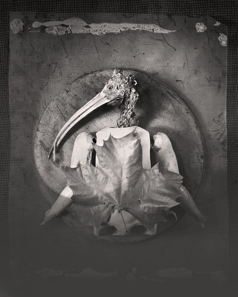 Construction with Bird Head, Doll, Leaf
