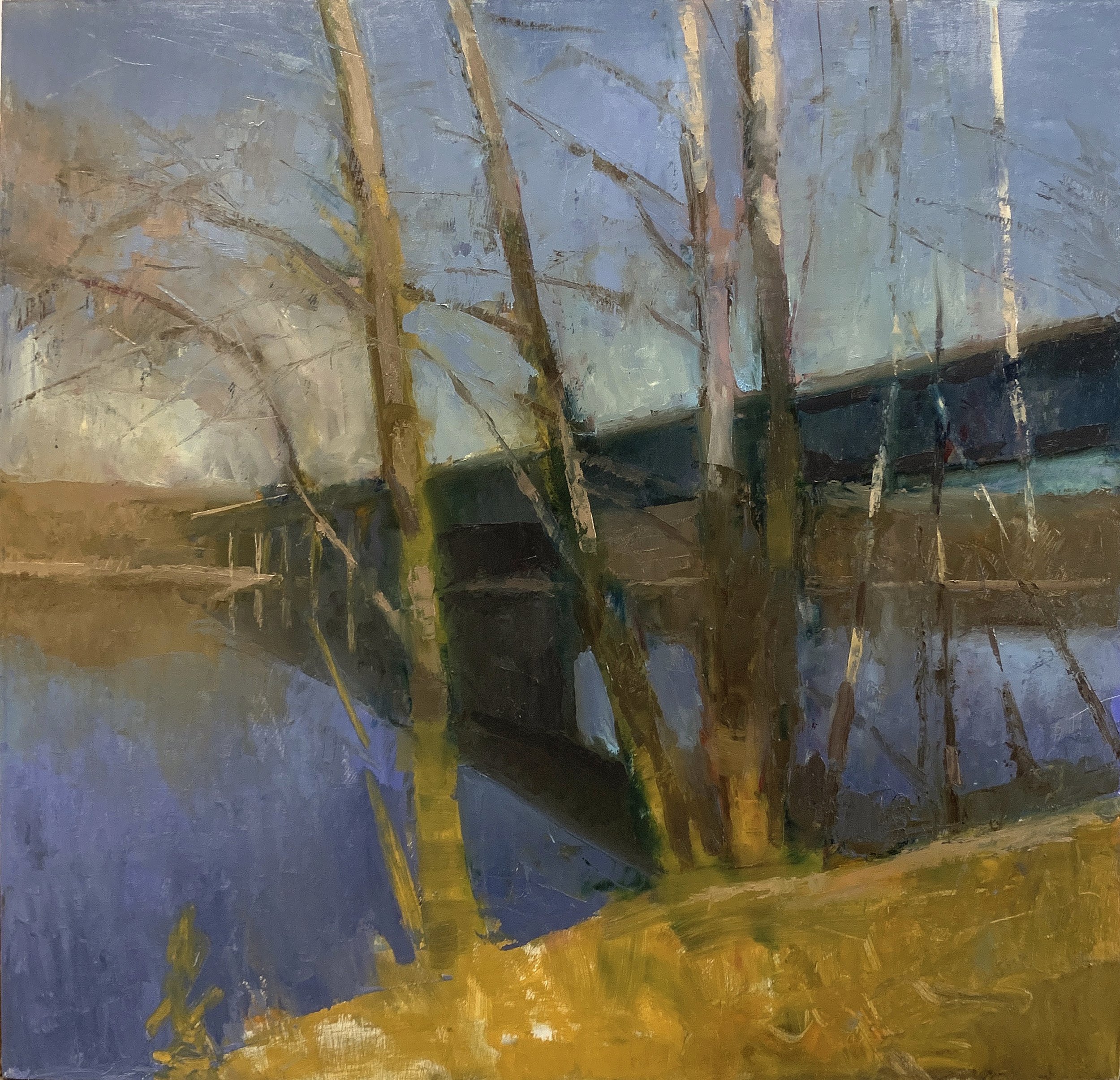 James River, Goochland County, VA, Winter