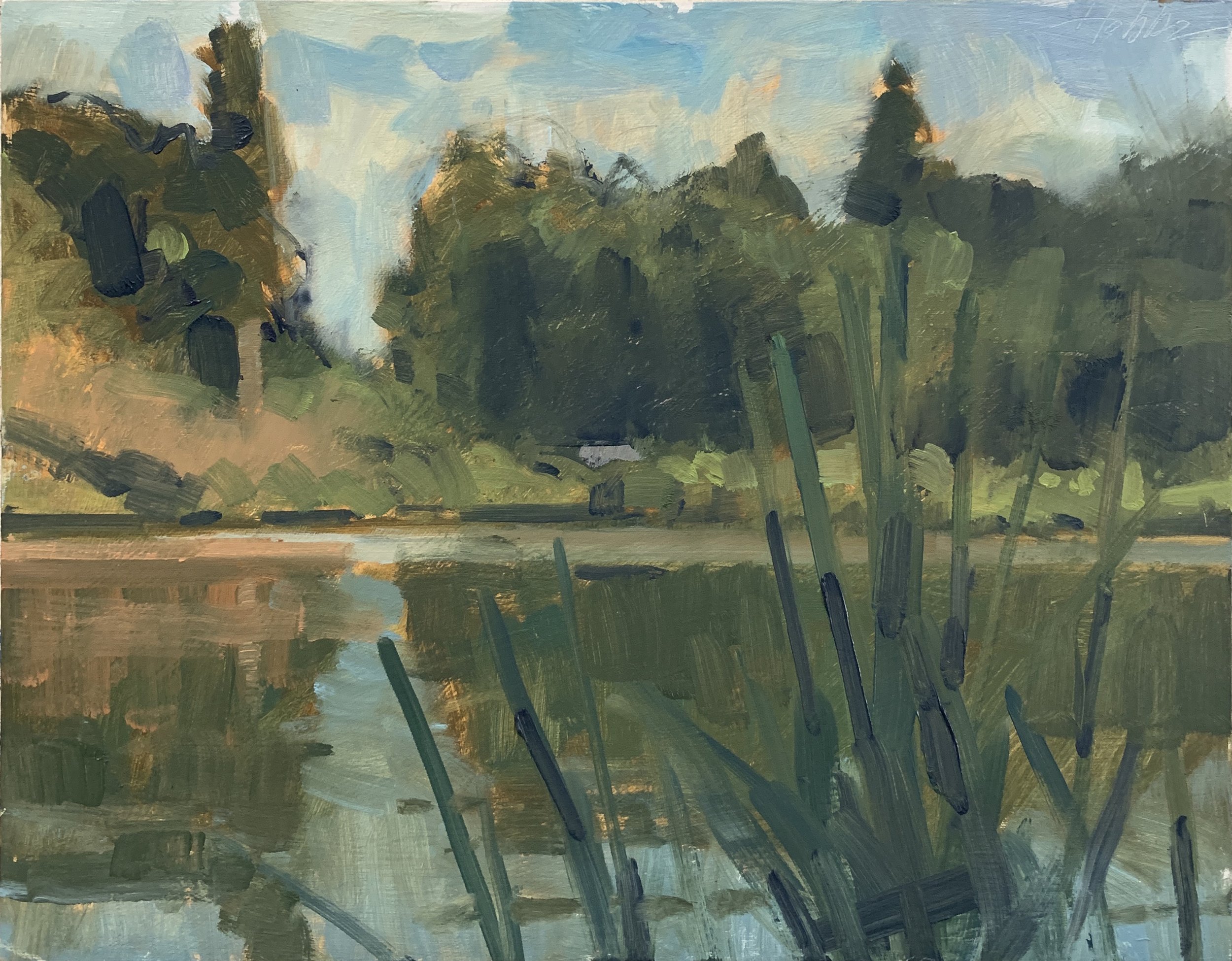 Summer Lake (Ivy Creek Park, Lynchburg, VA)