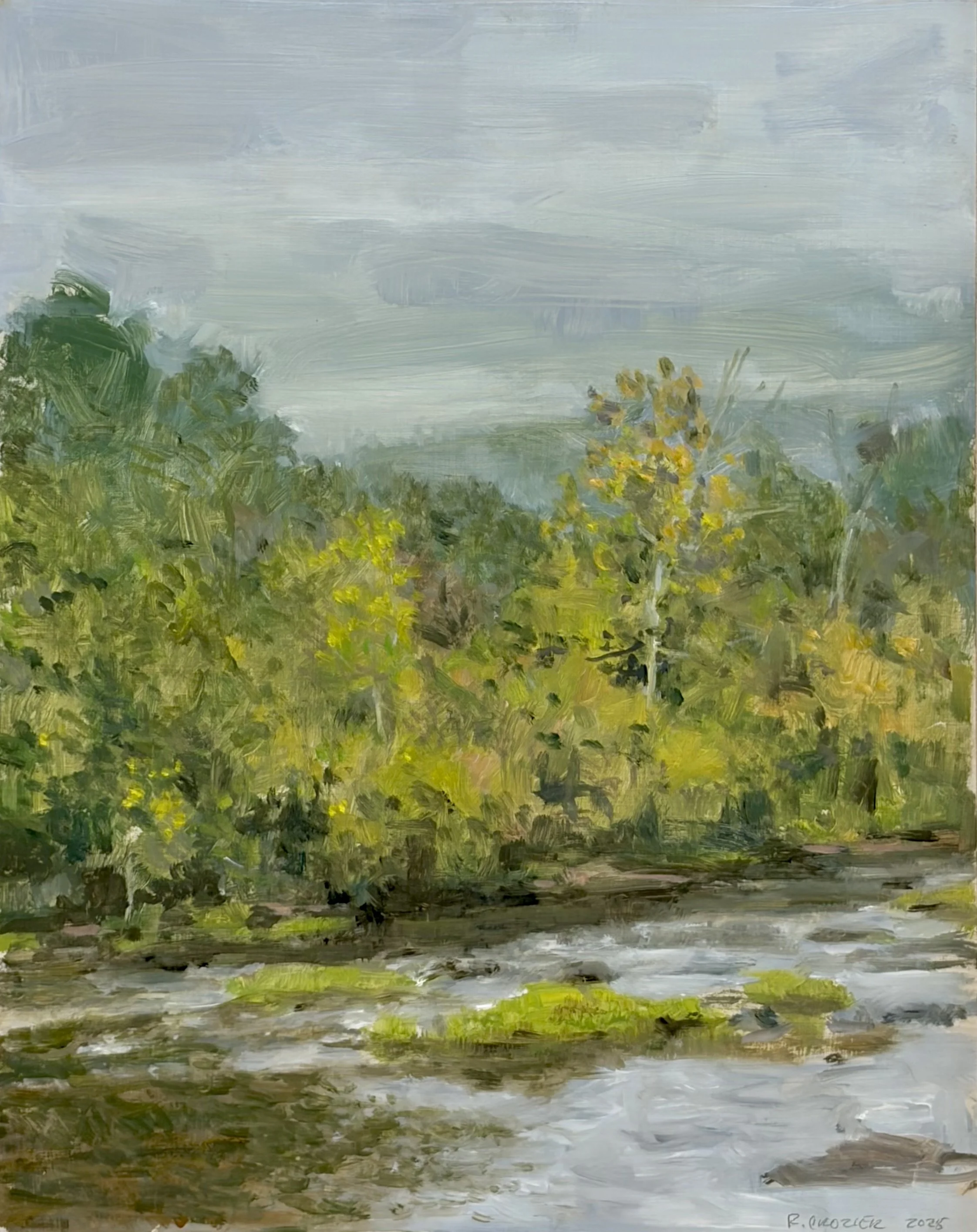 Rivanna Below Pantops