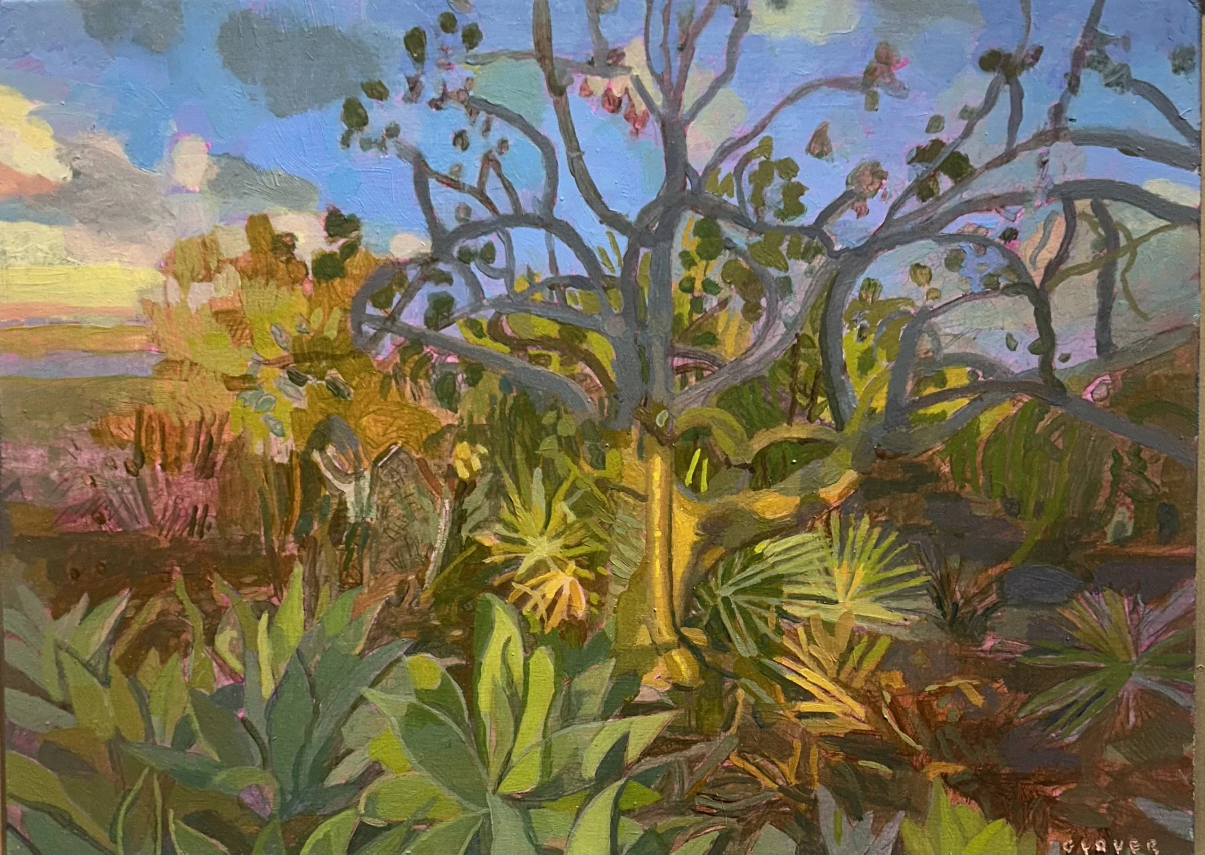 Botanical Garden #1, Blue Agaves