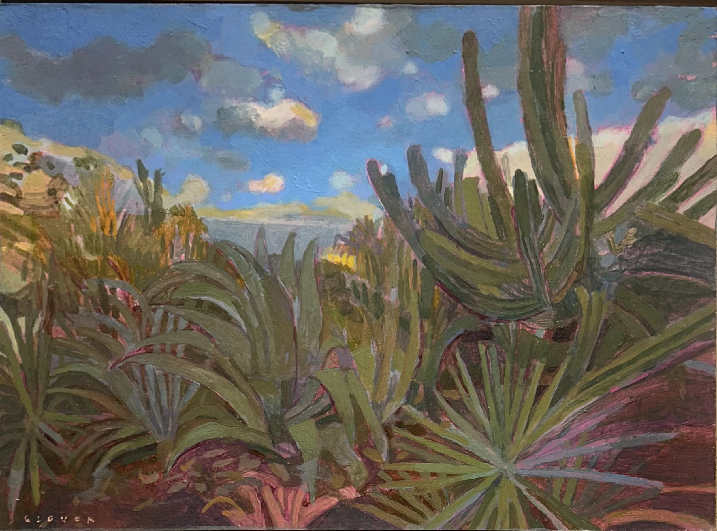 Botanical Garden #3, Giant Agaves