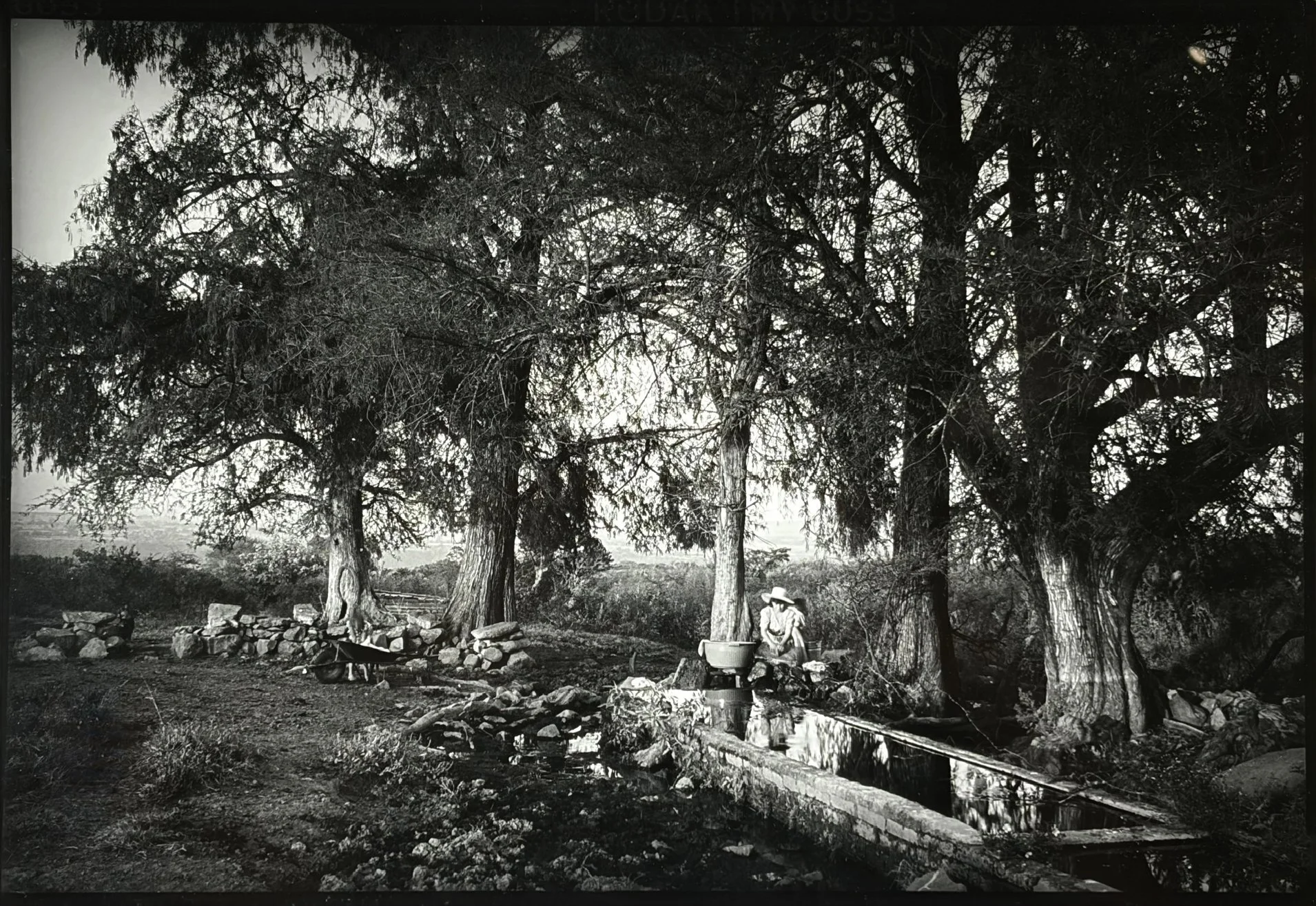 Corral Falso, Jalisco