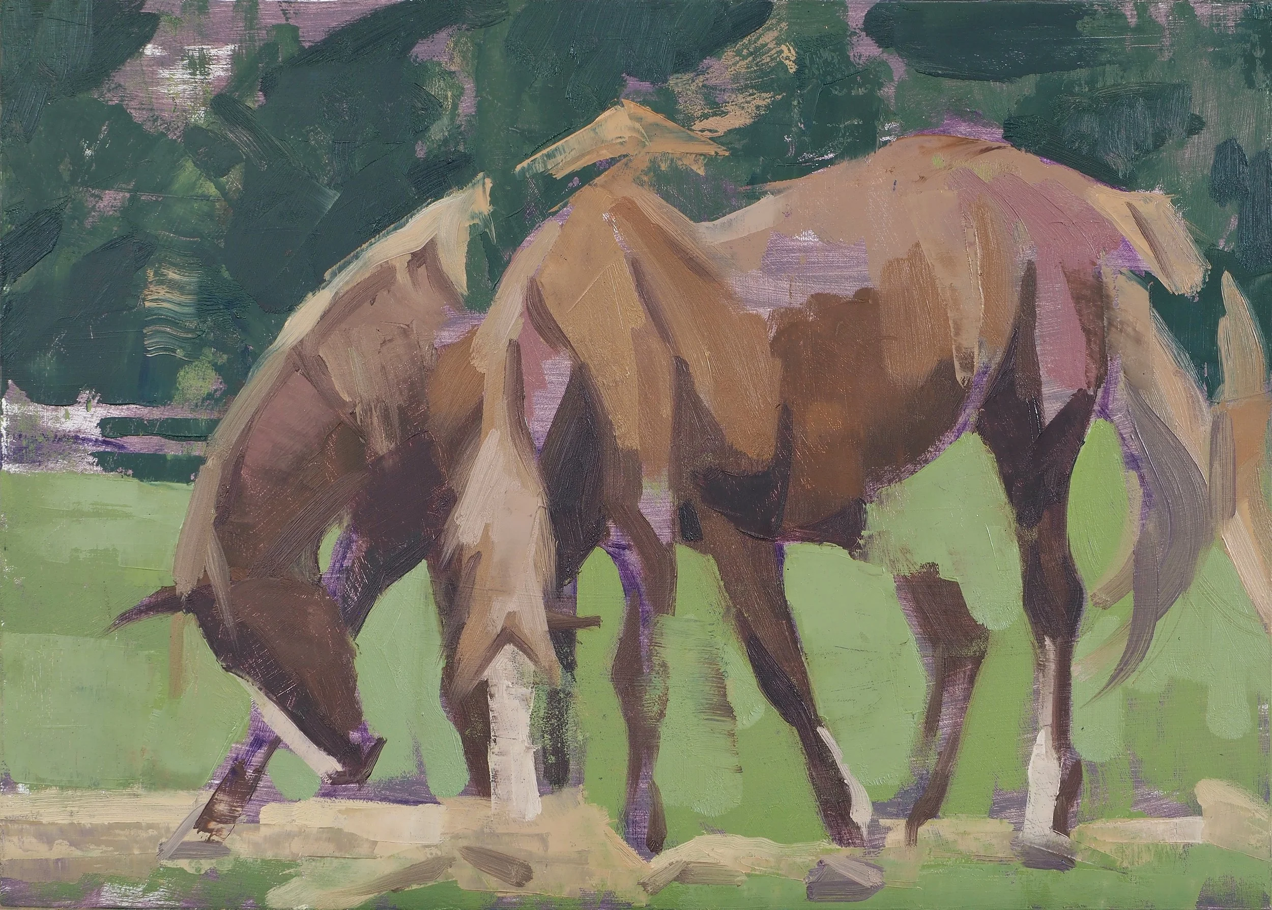 Horse, Grazing - Study