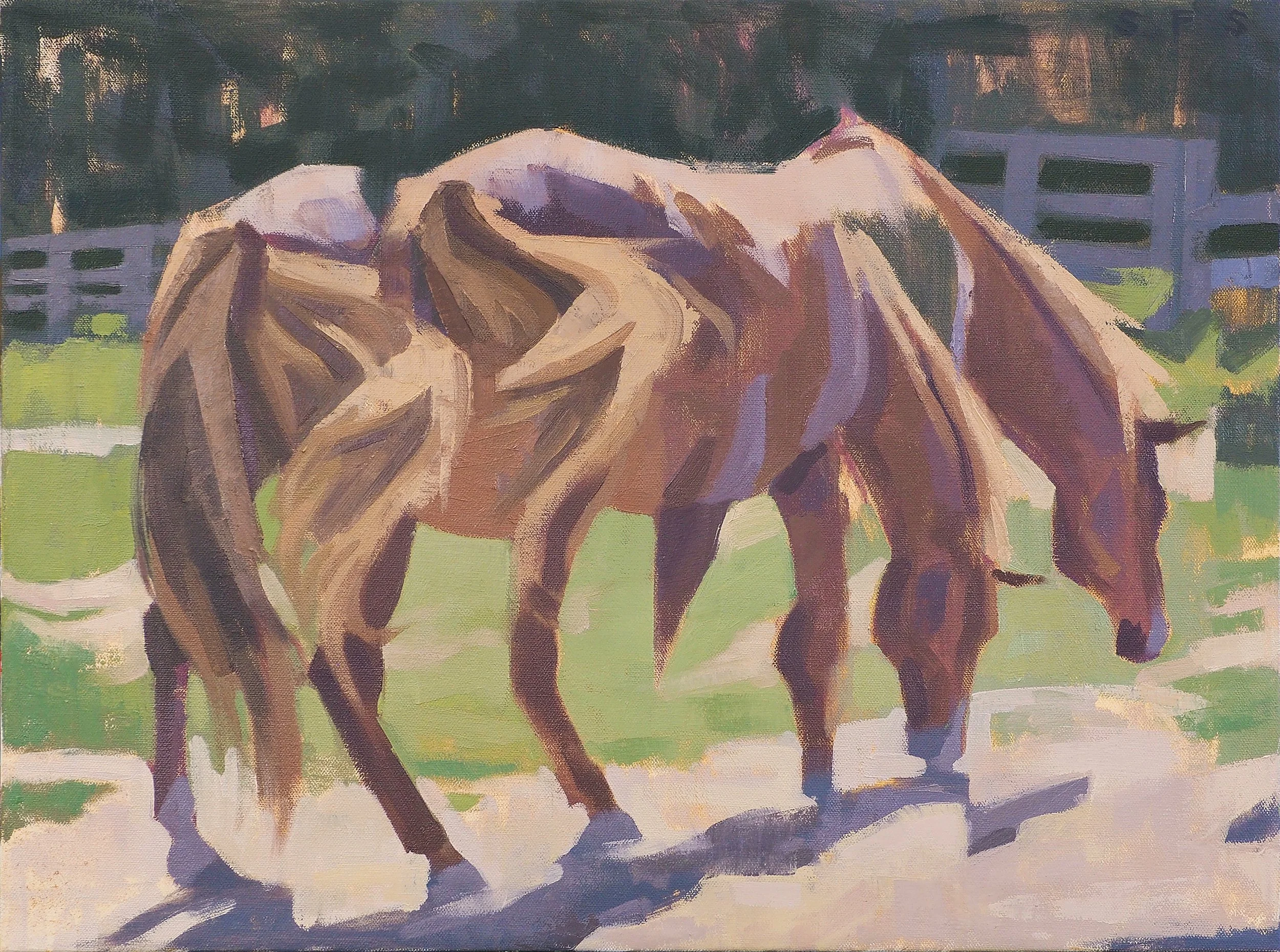 Horse in Sunlight, 2026