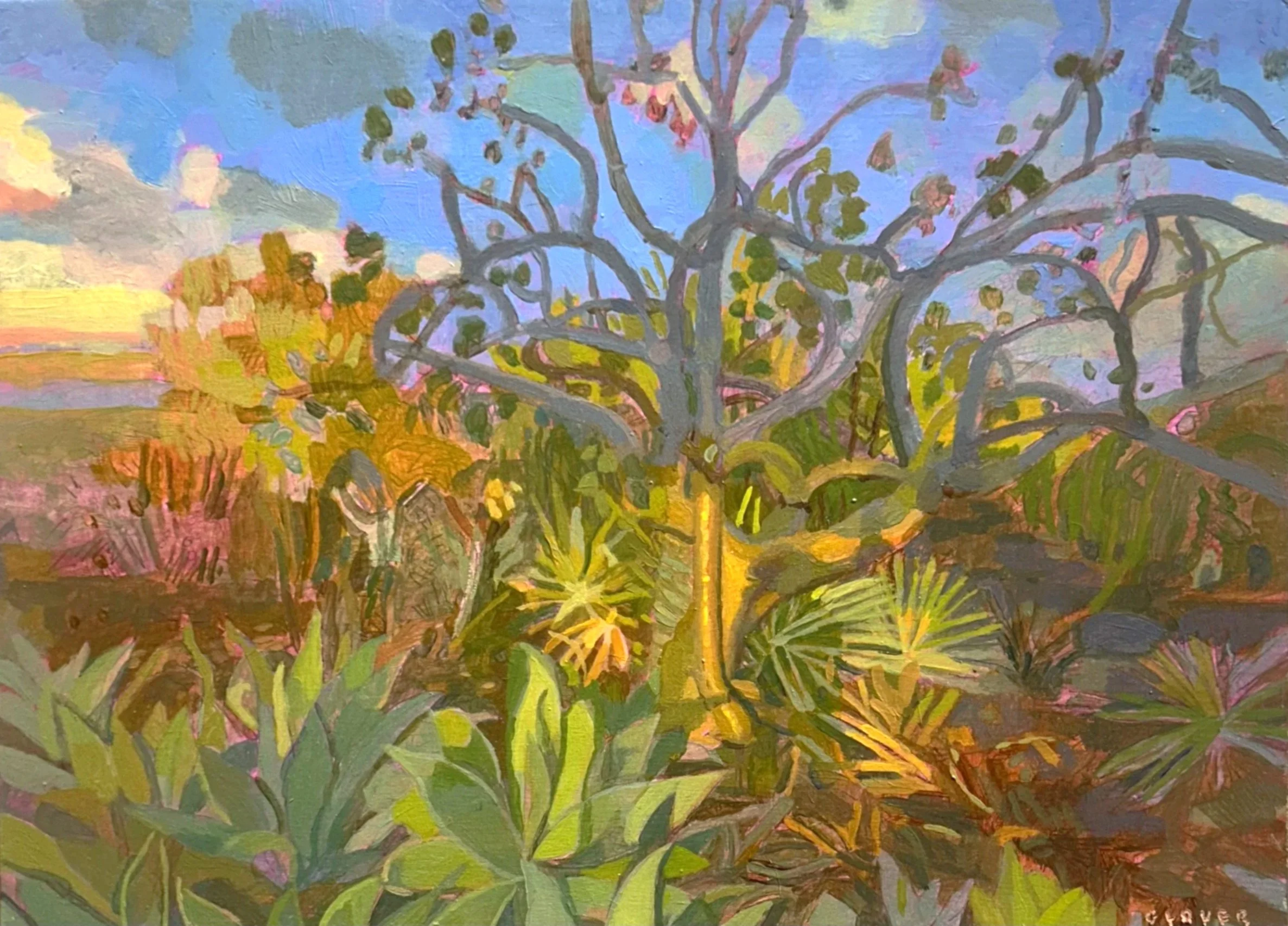 Botanical Garden #1, Blue Agaves