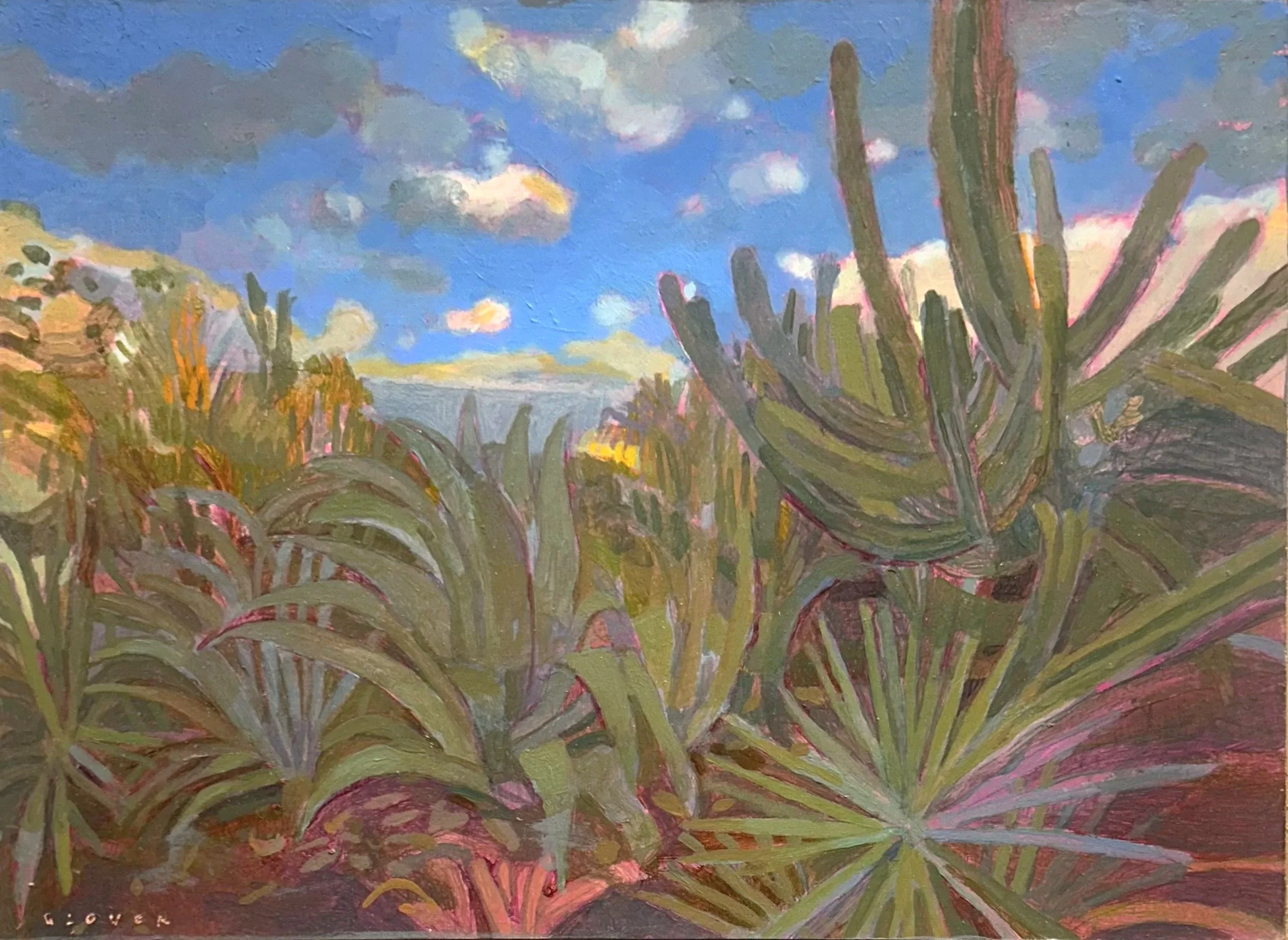 Botanical Garden #3, Giant Agaves