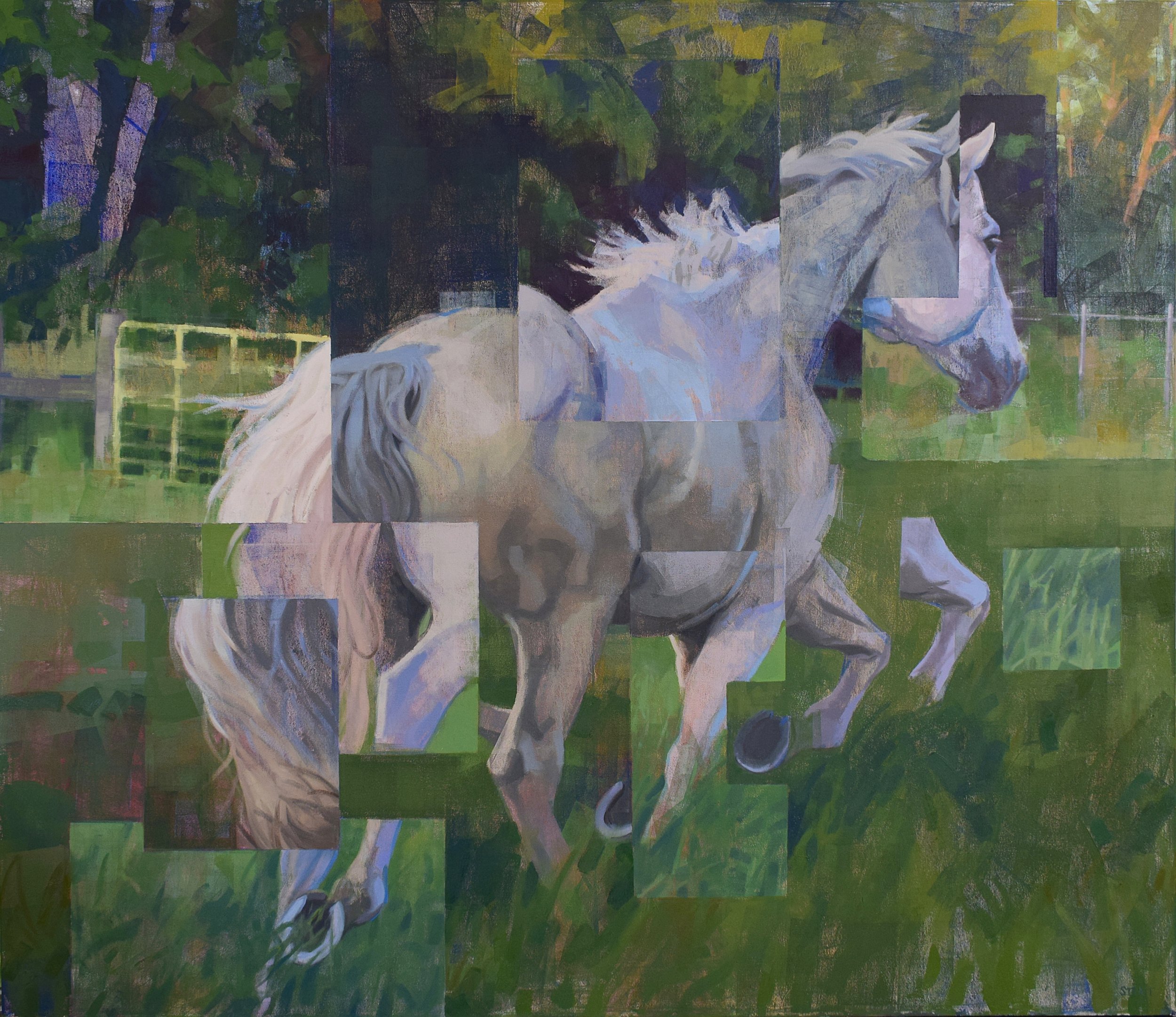 Grey Horse Locomotion II