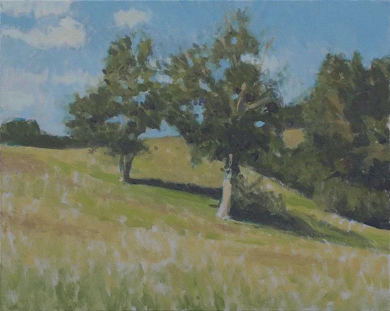 Summer, Rockbridge County, VA