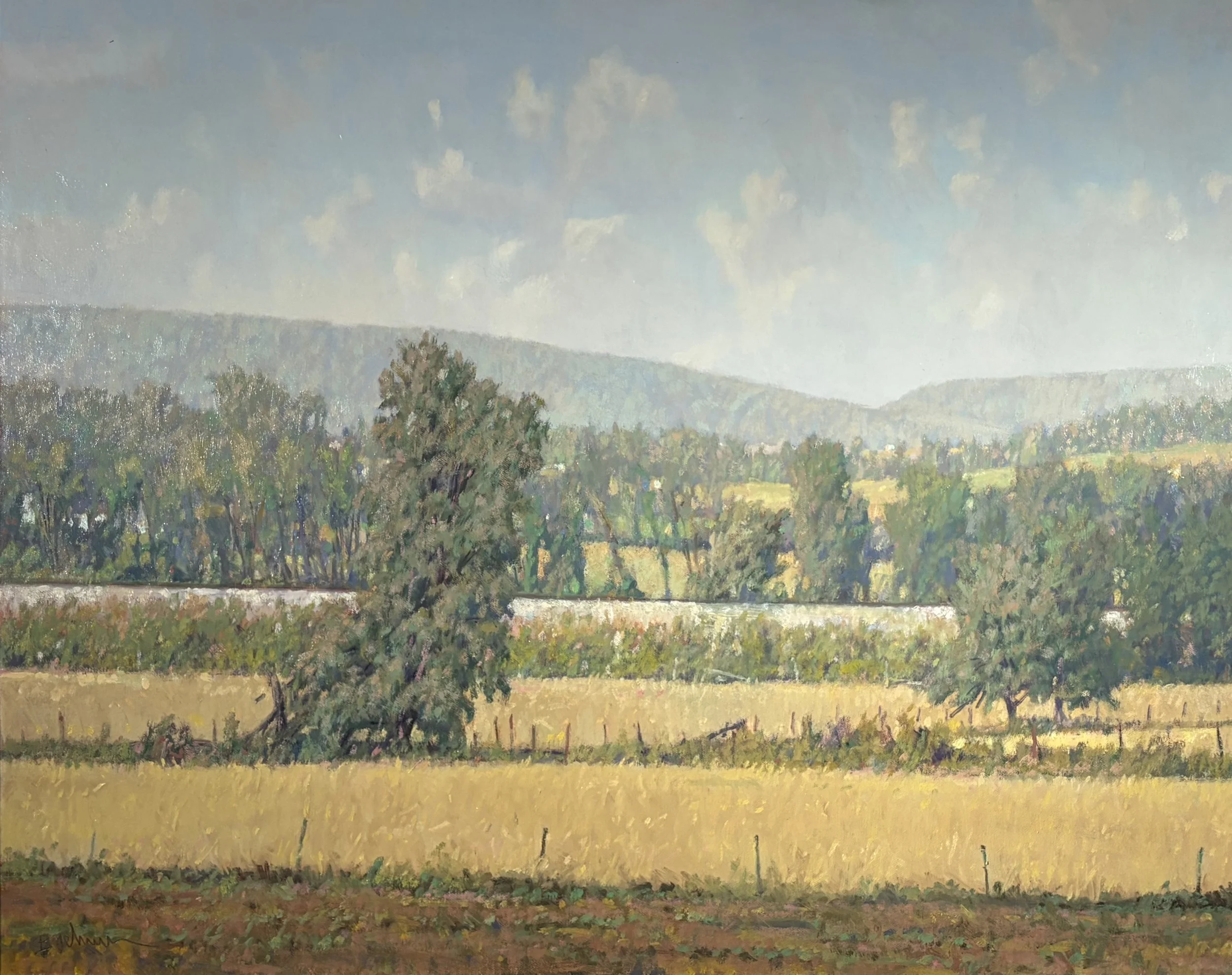 SOLD - Ron Boehmer