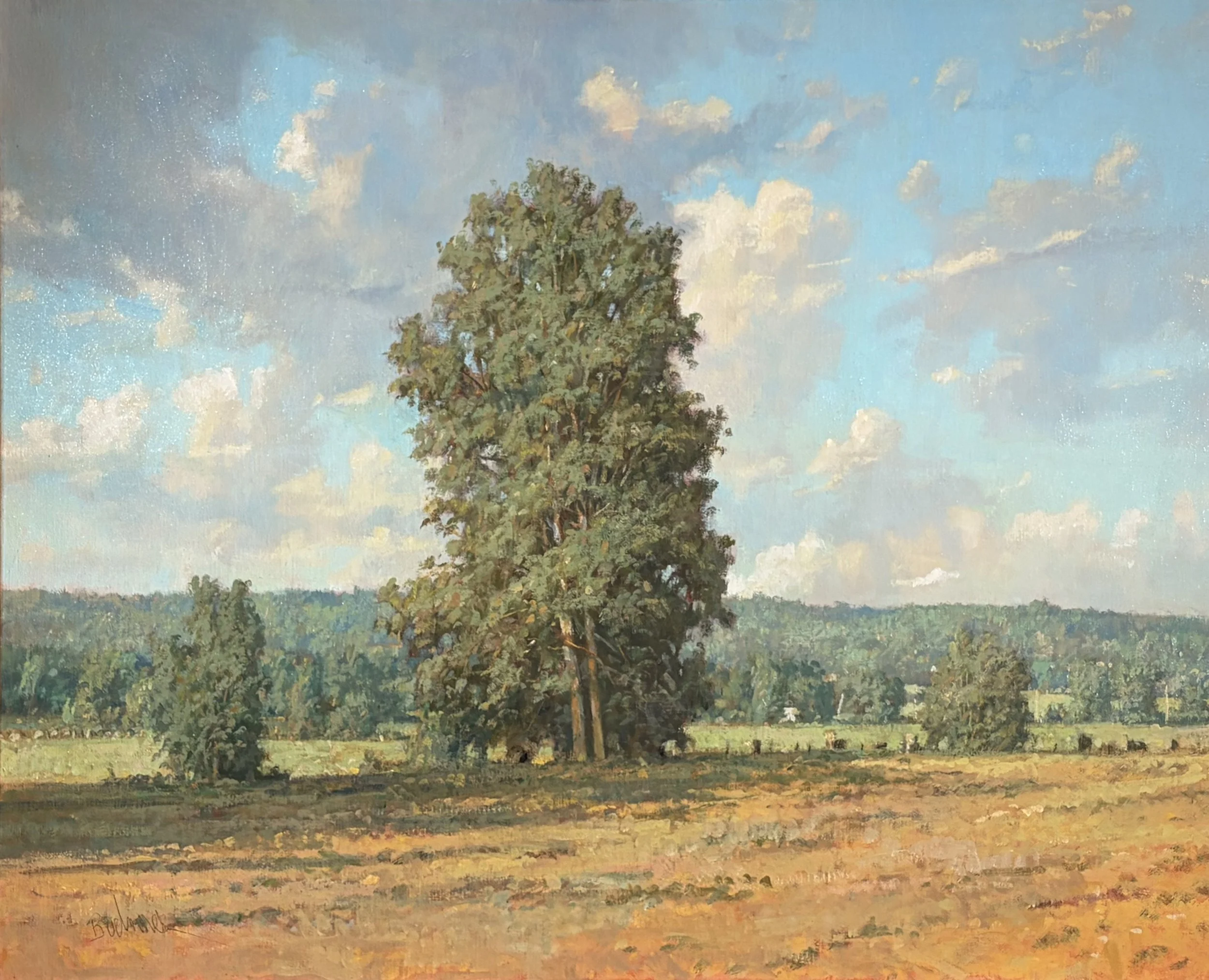 Ron Boehmer