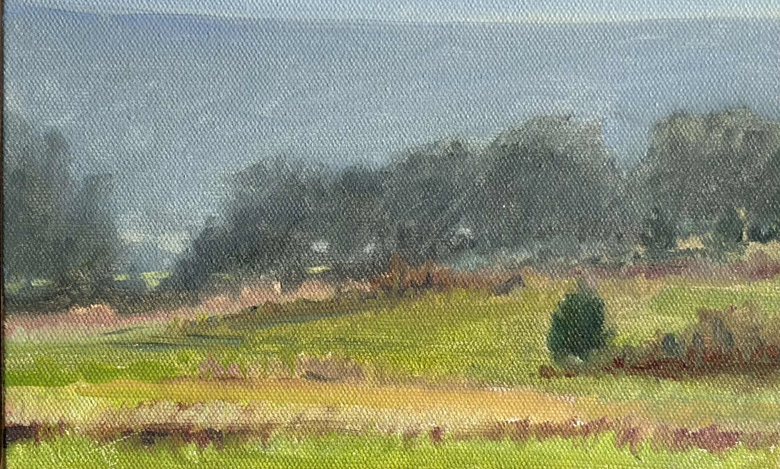 Cedar in the Blackberry Bushes