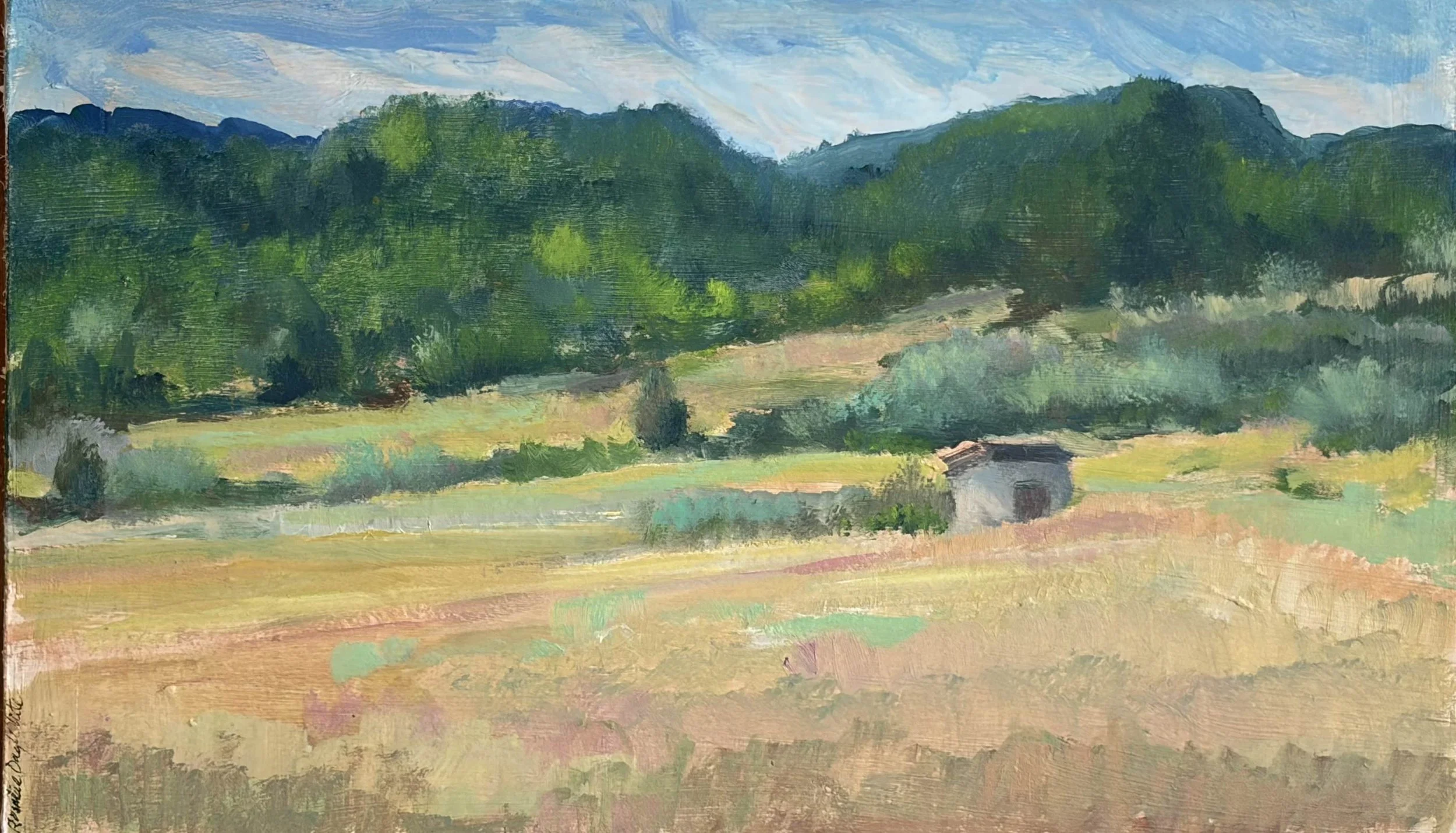 Shed on the Field