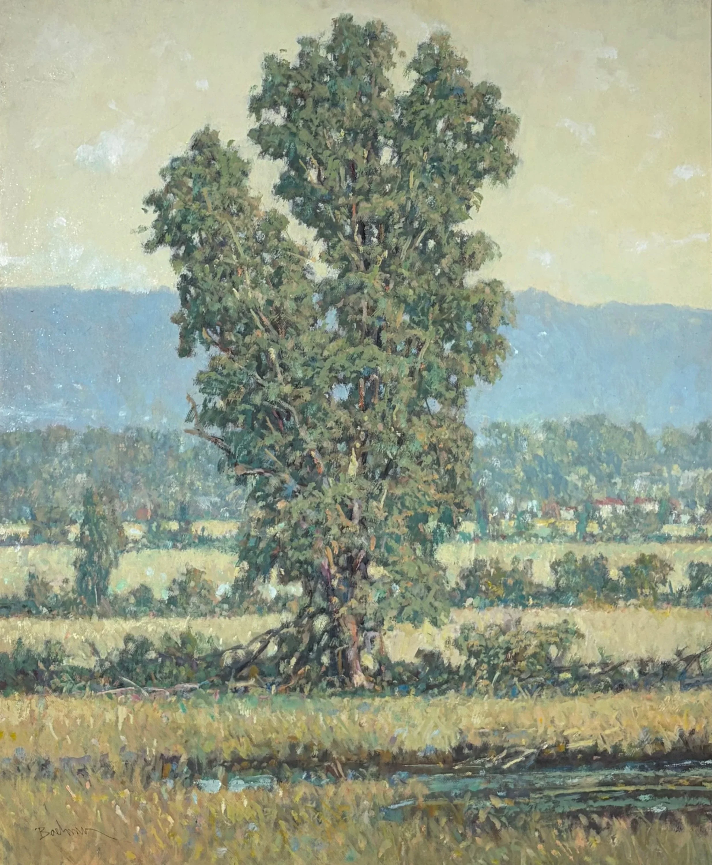Ron Boehmer