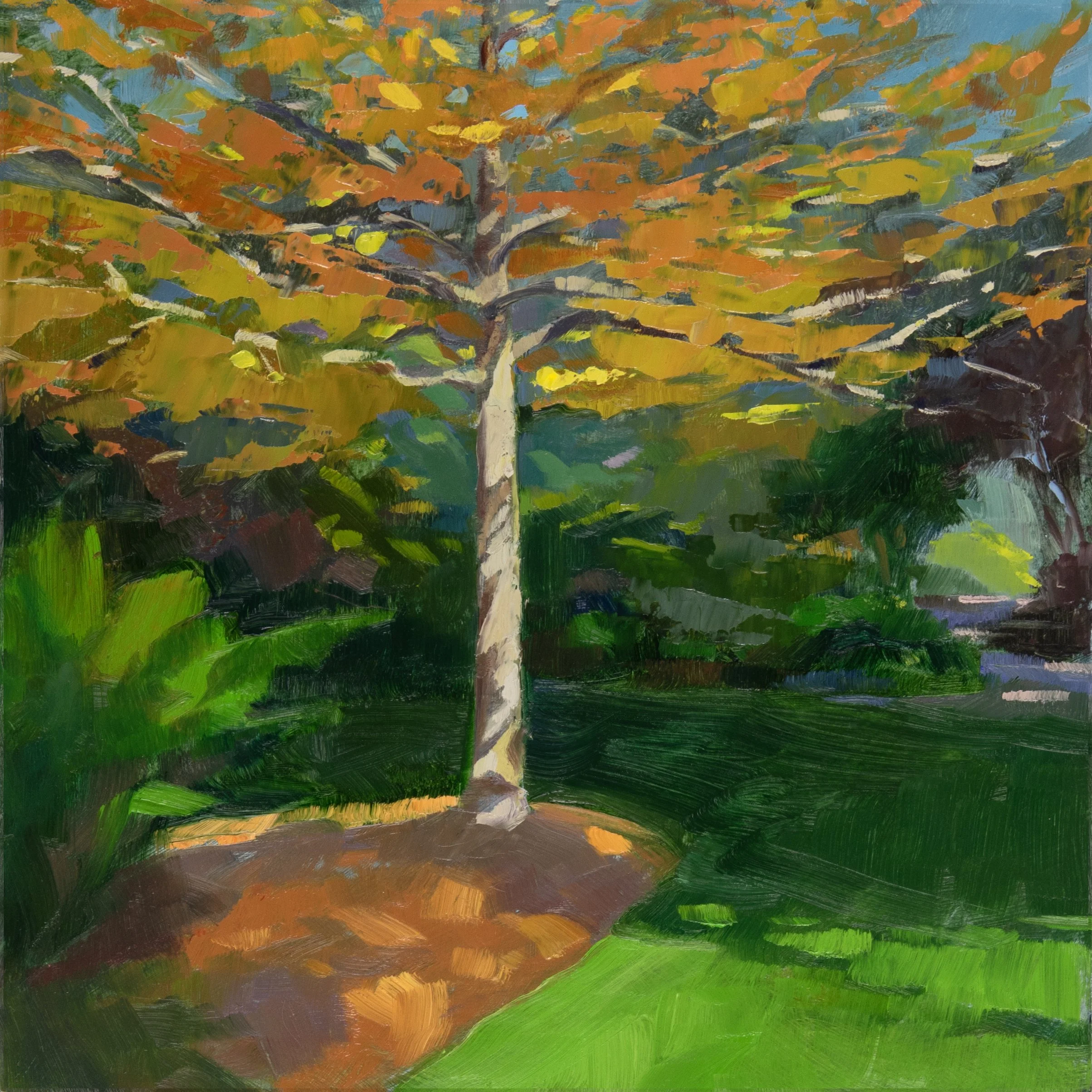 Black Gum: Early Fall
