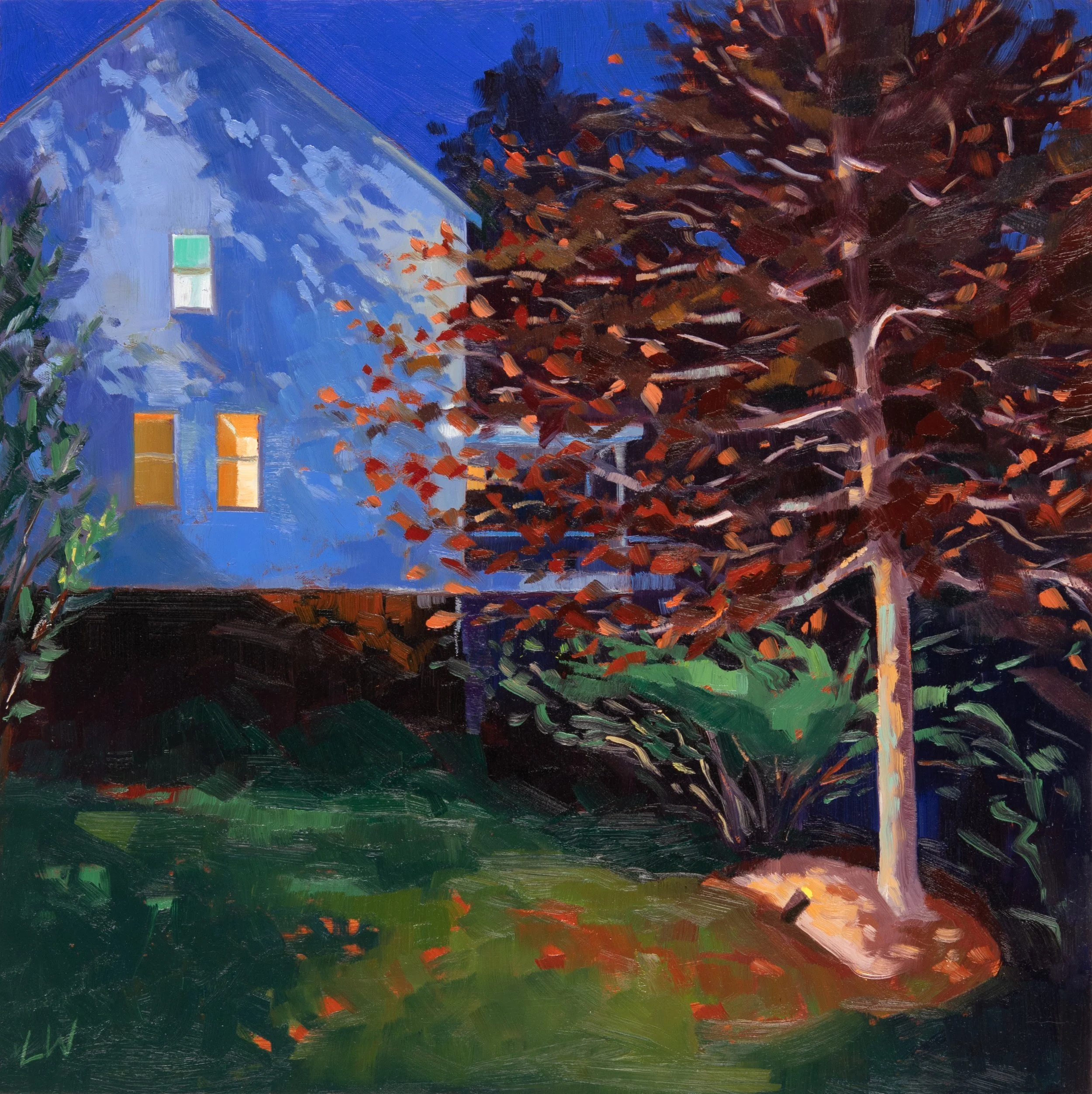 Backyard Nocturne