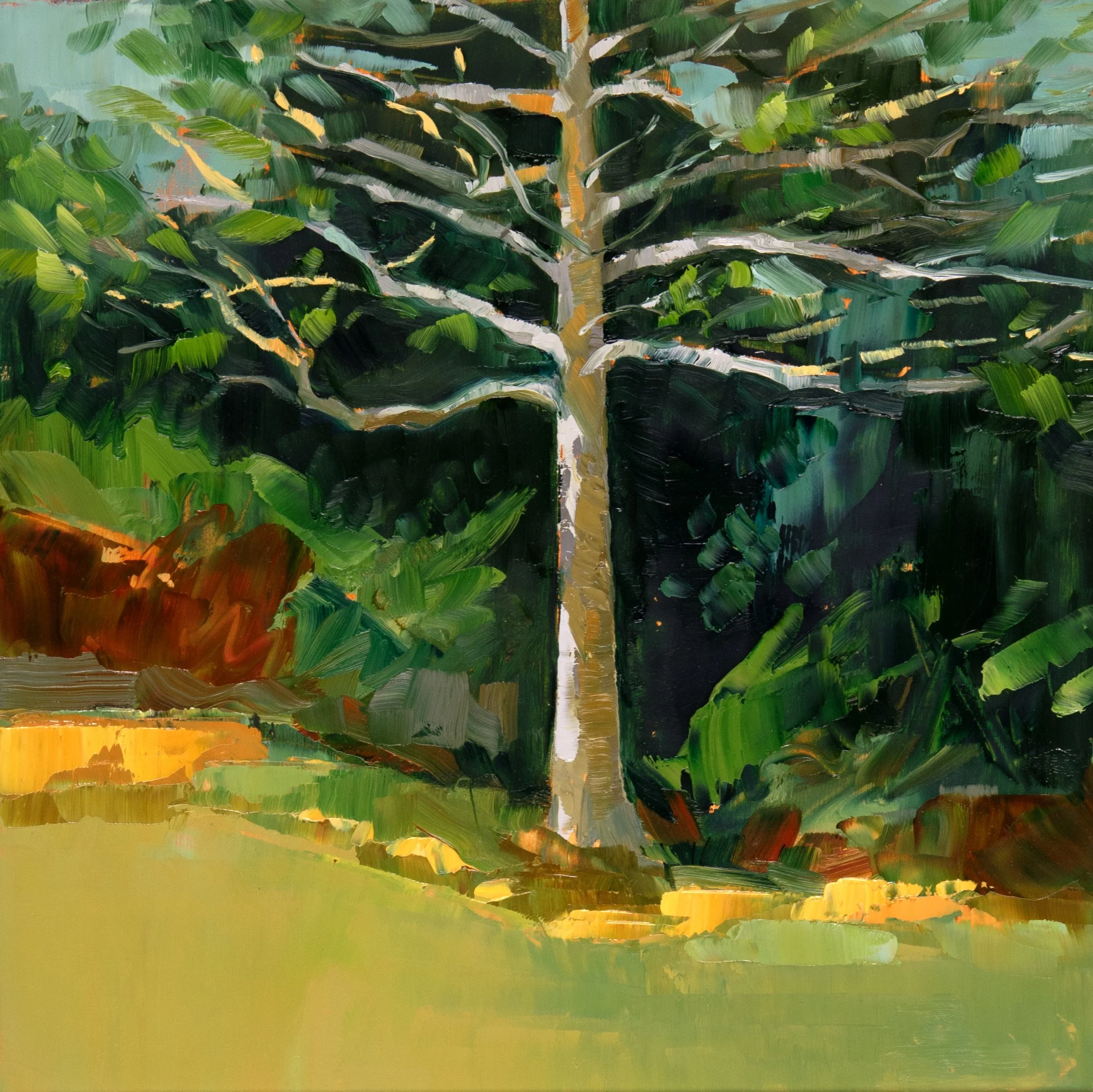 Black Gum: Early Spring