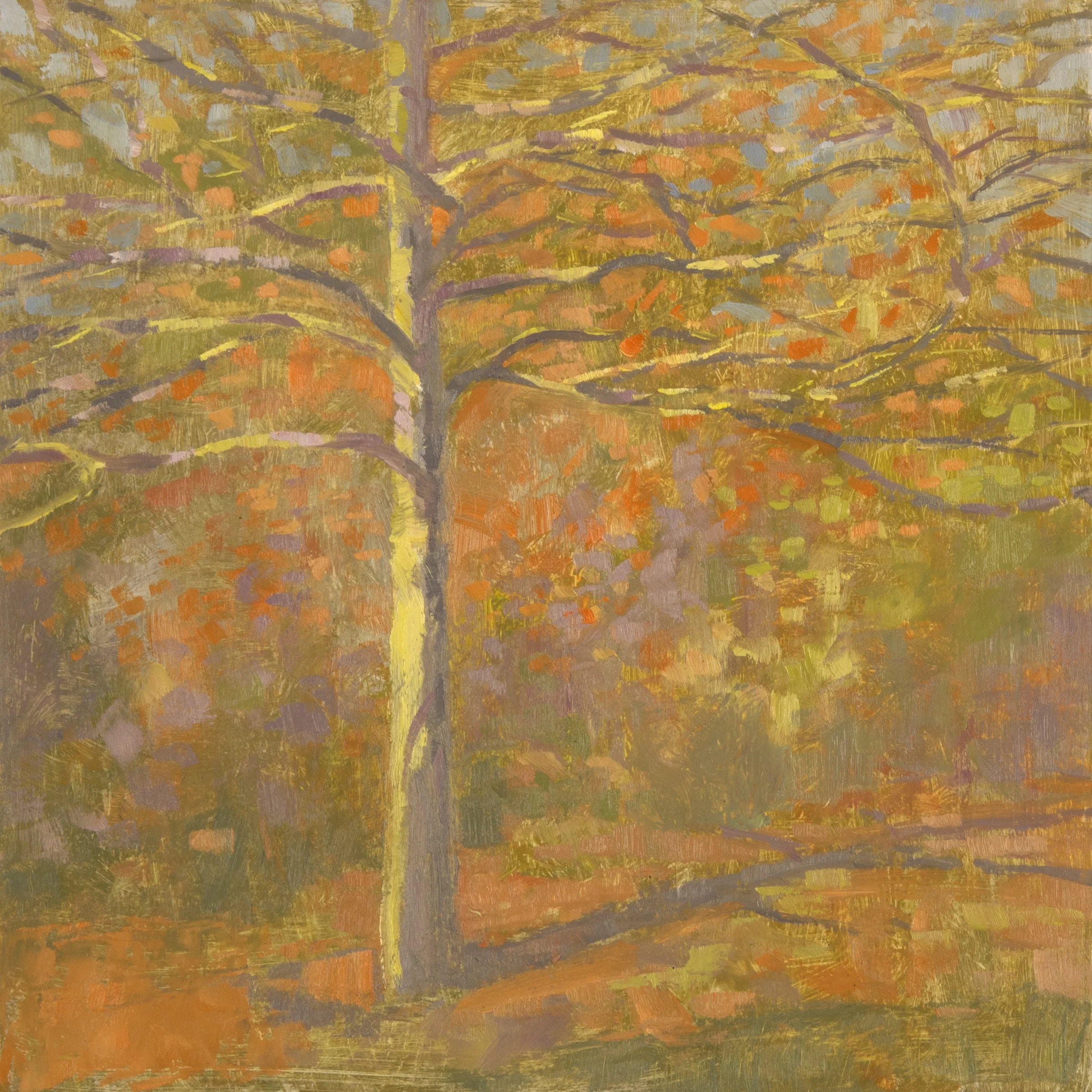 Black Gum: Hazy Morning