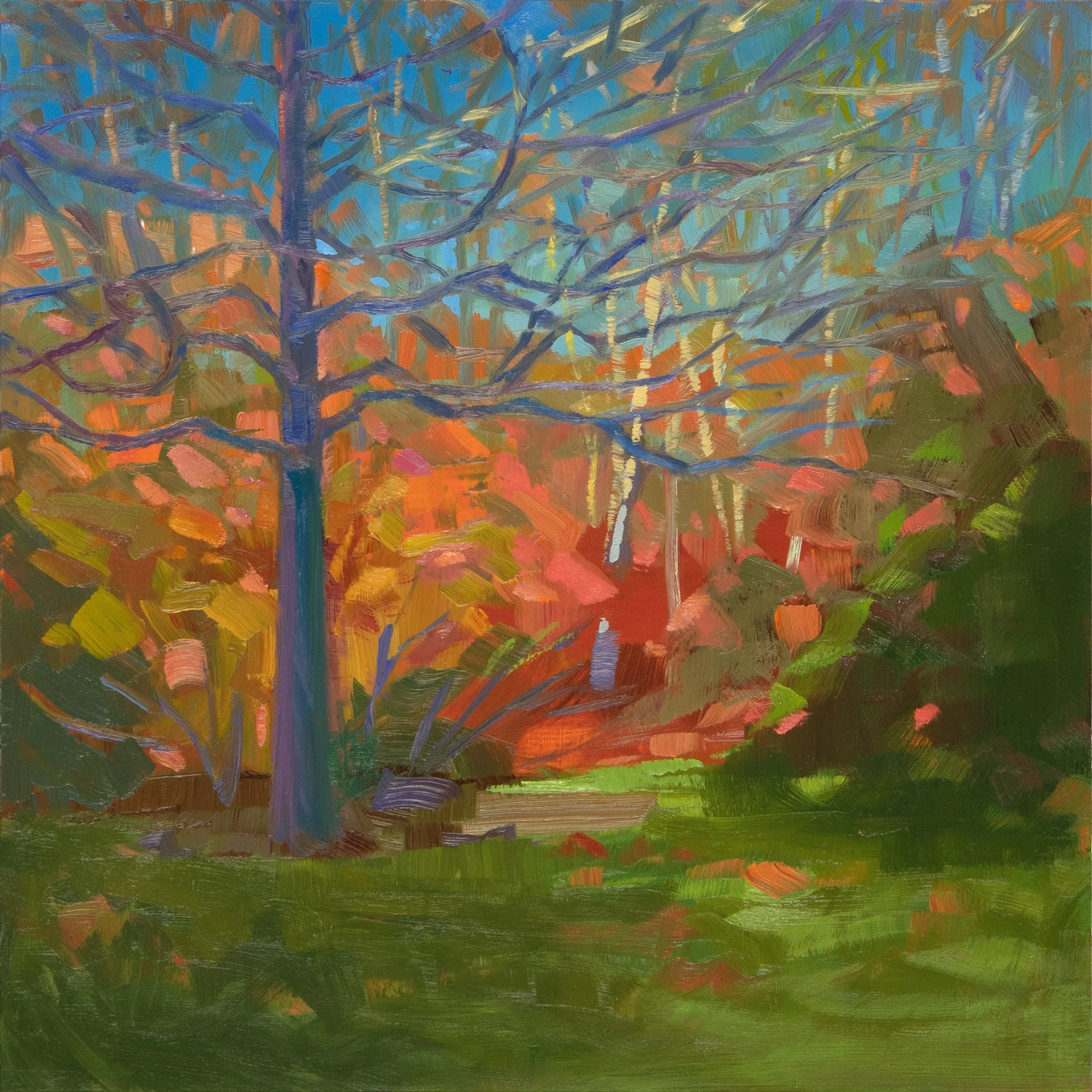 Black Gum: Late Afternoon in November