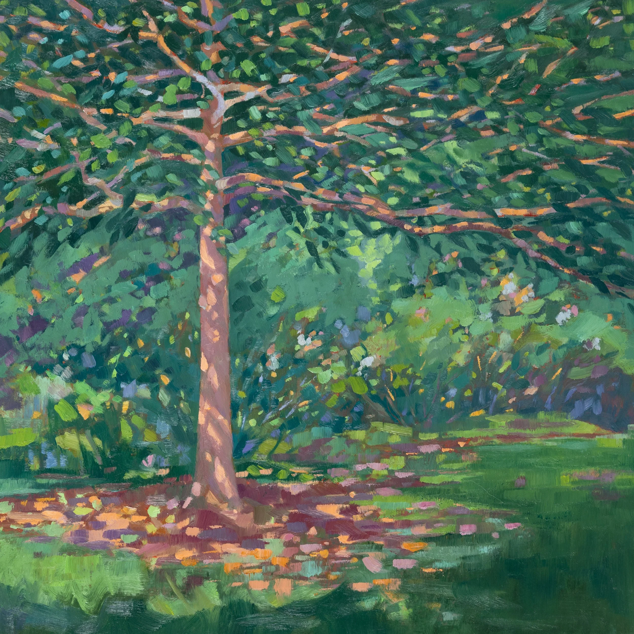 Black Gum: Mid-Summer