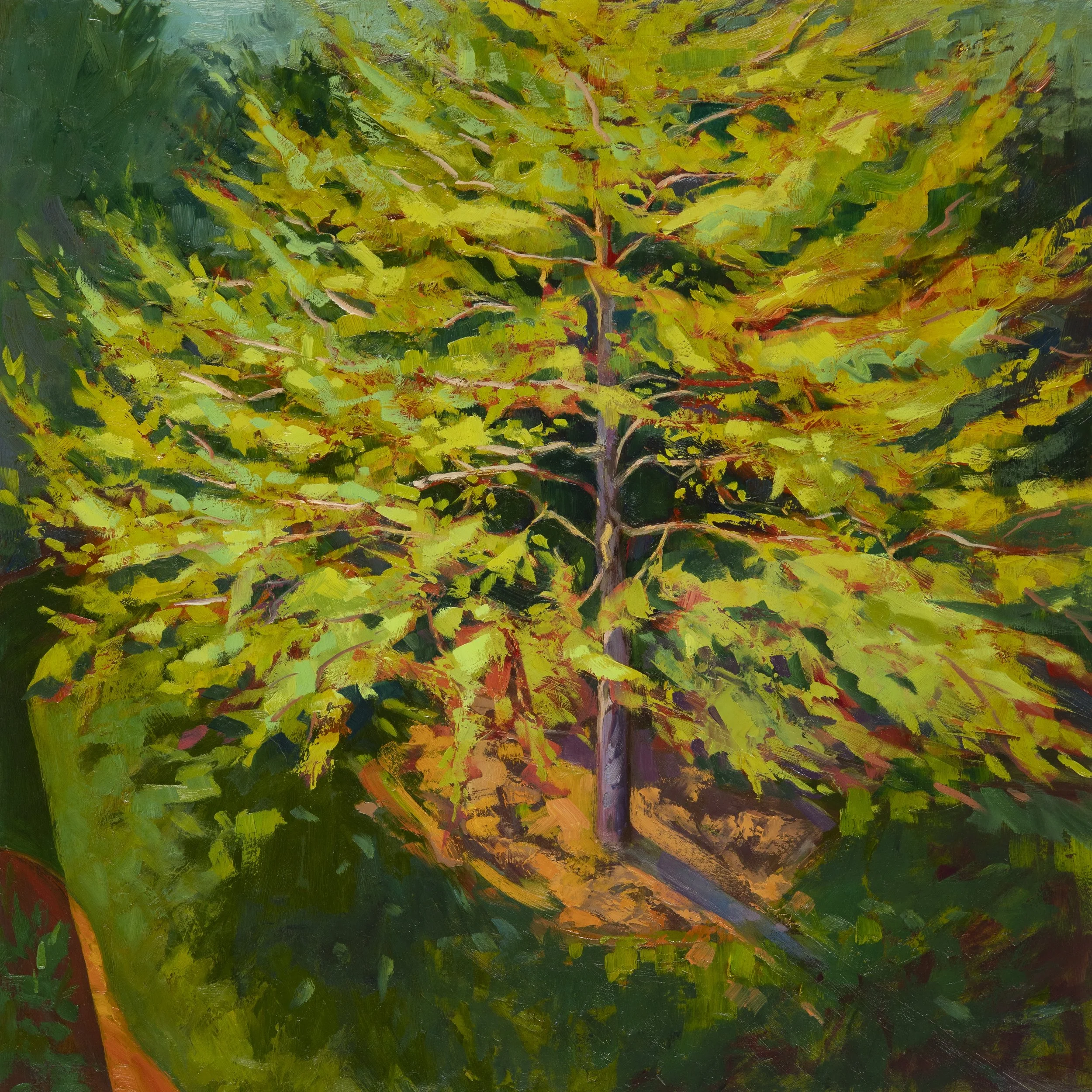 Black Gum: New Leaf