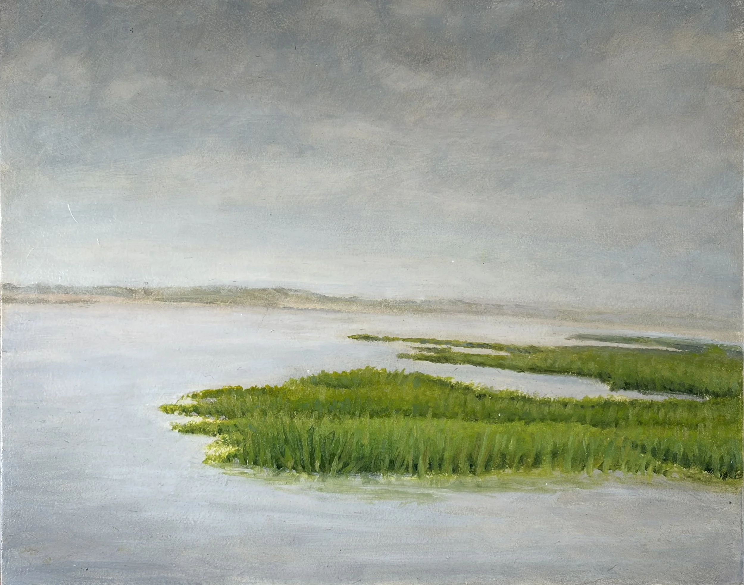 Gray Day Marshes