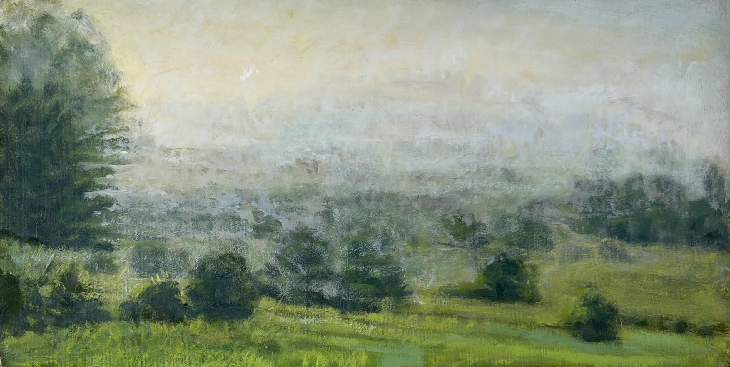 Mist at Johnson