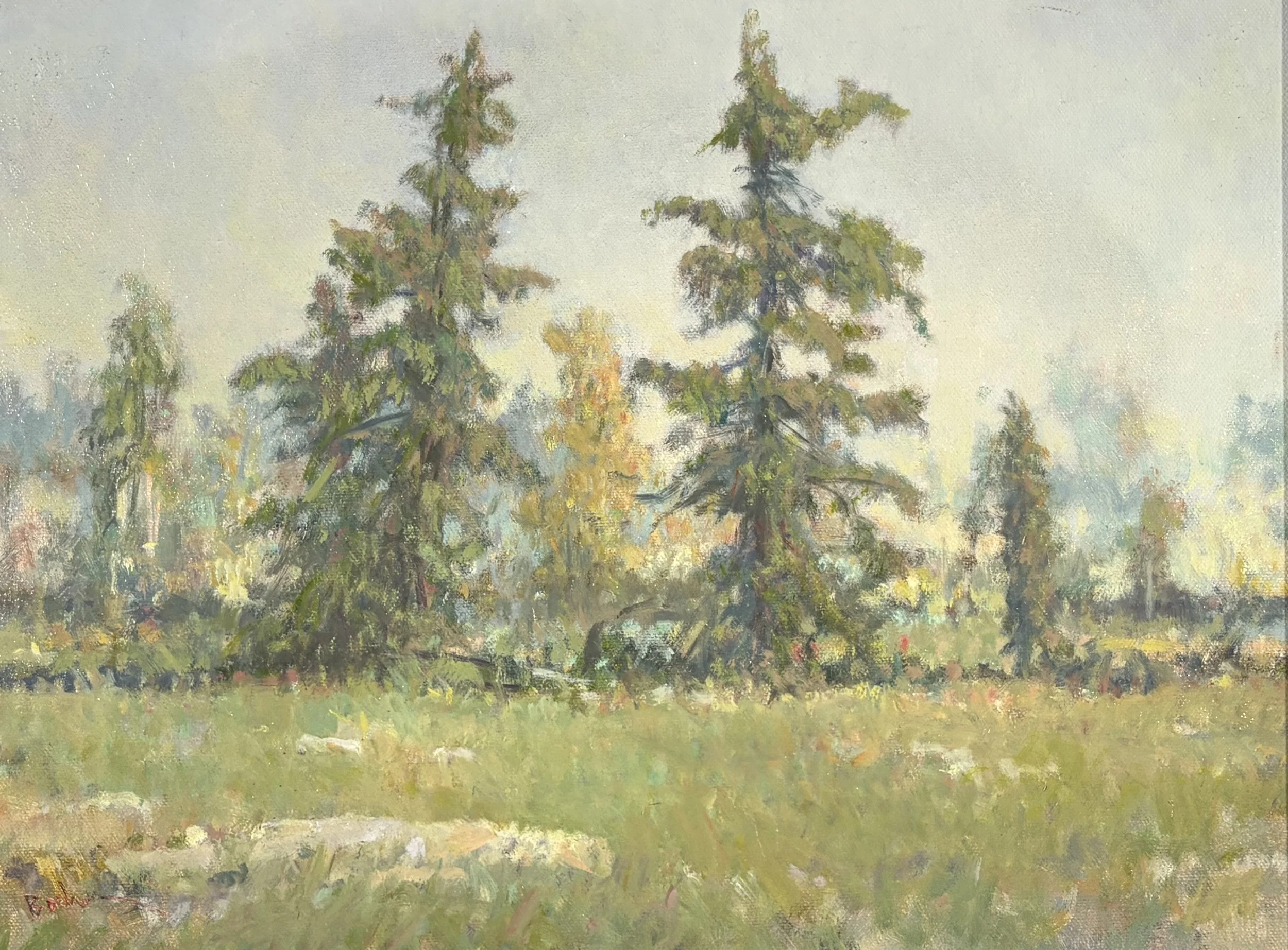 High Plateau Planes