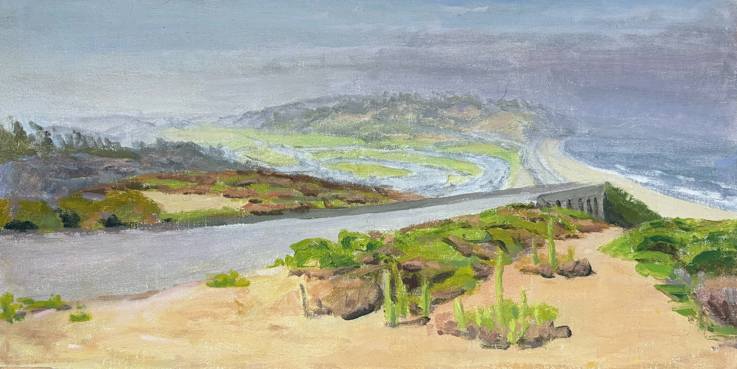 Looking to Torry Pines 