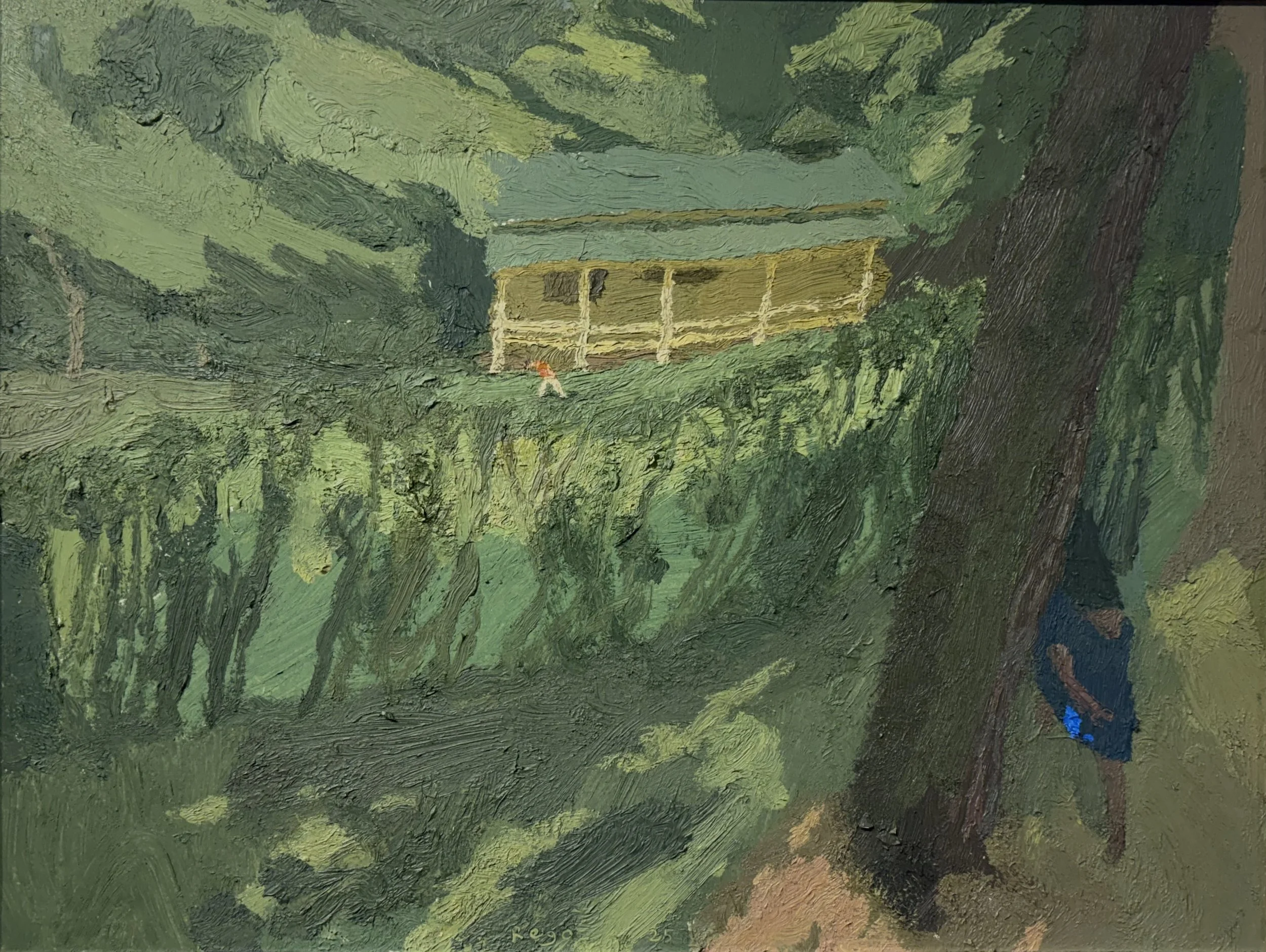 Landscape of an American Novelist