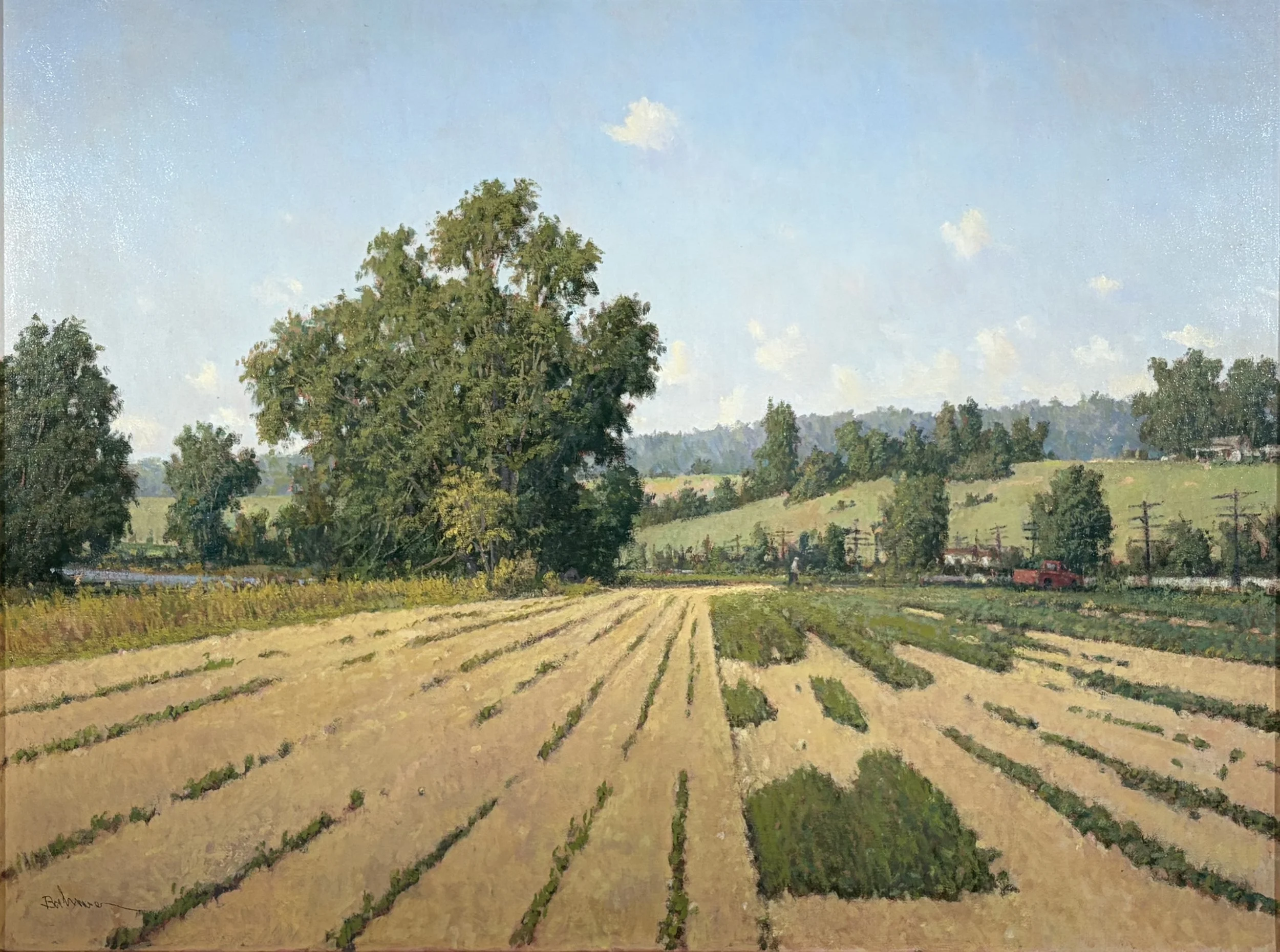 Elena’s Field