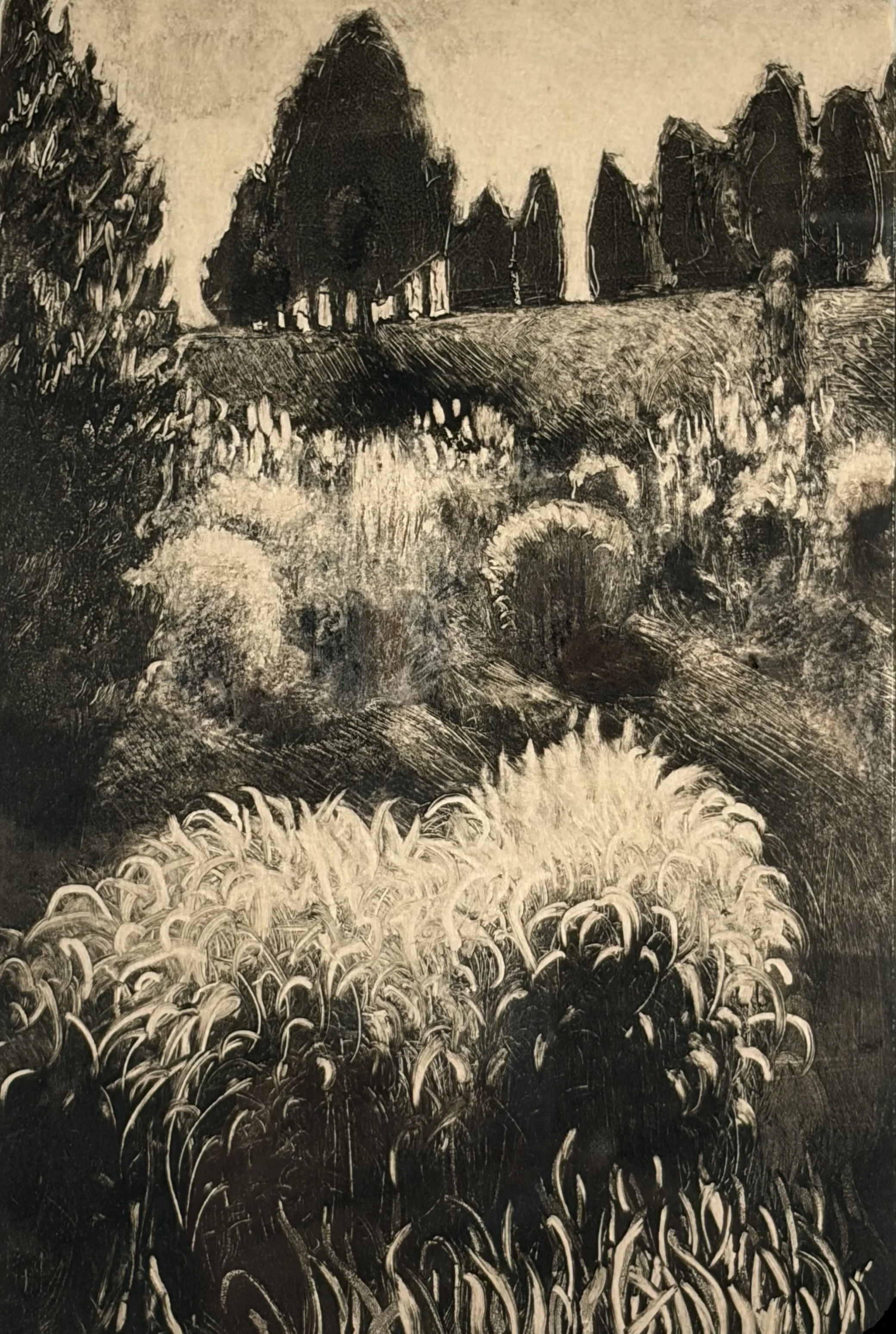 Nancy Dahlstrom