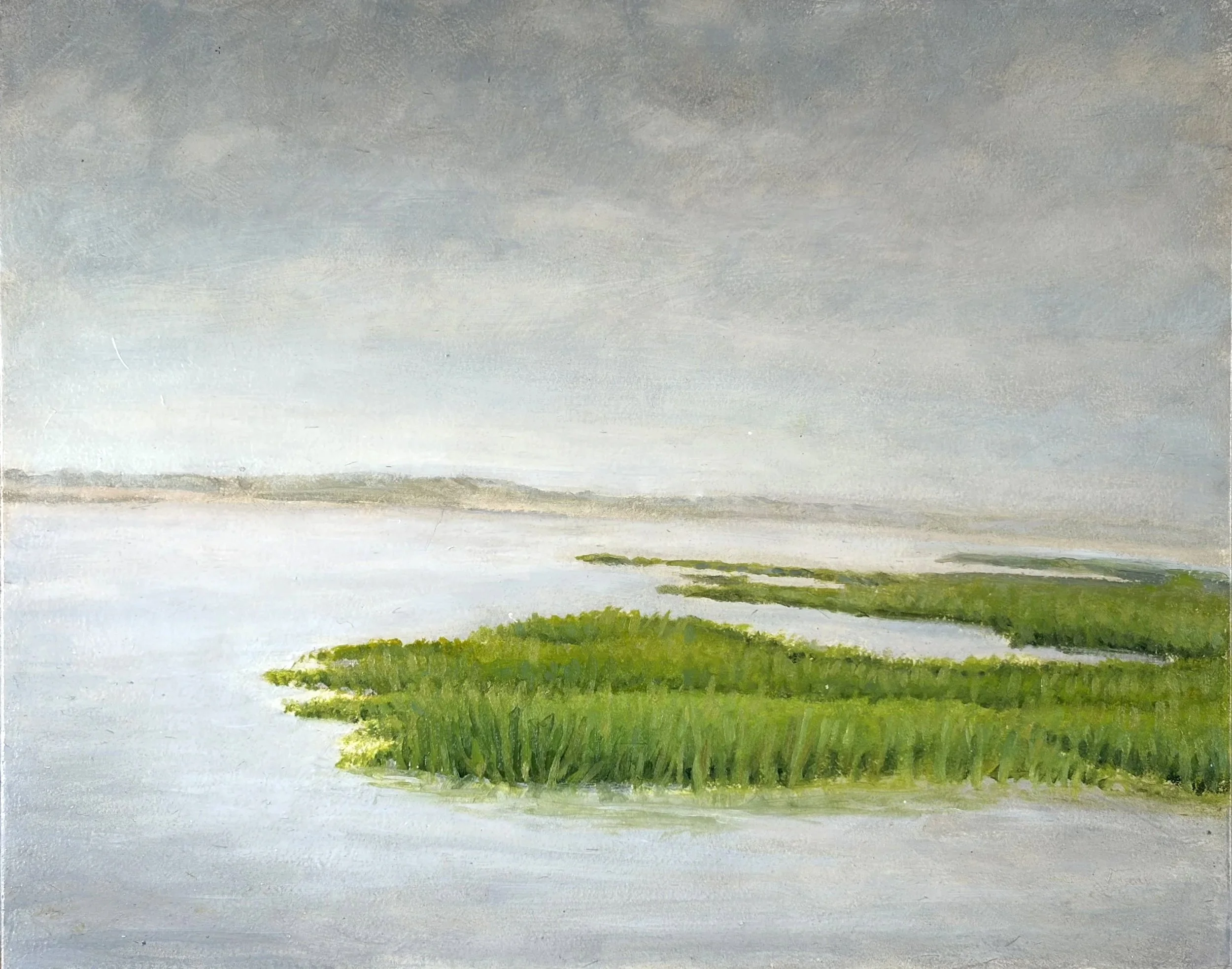 Gray Day Marshes