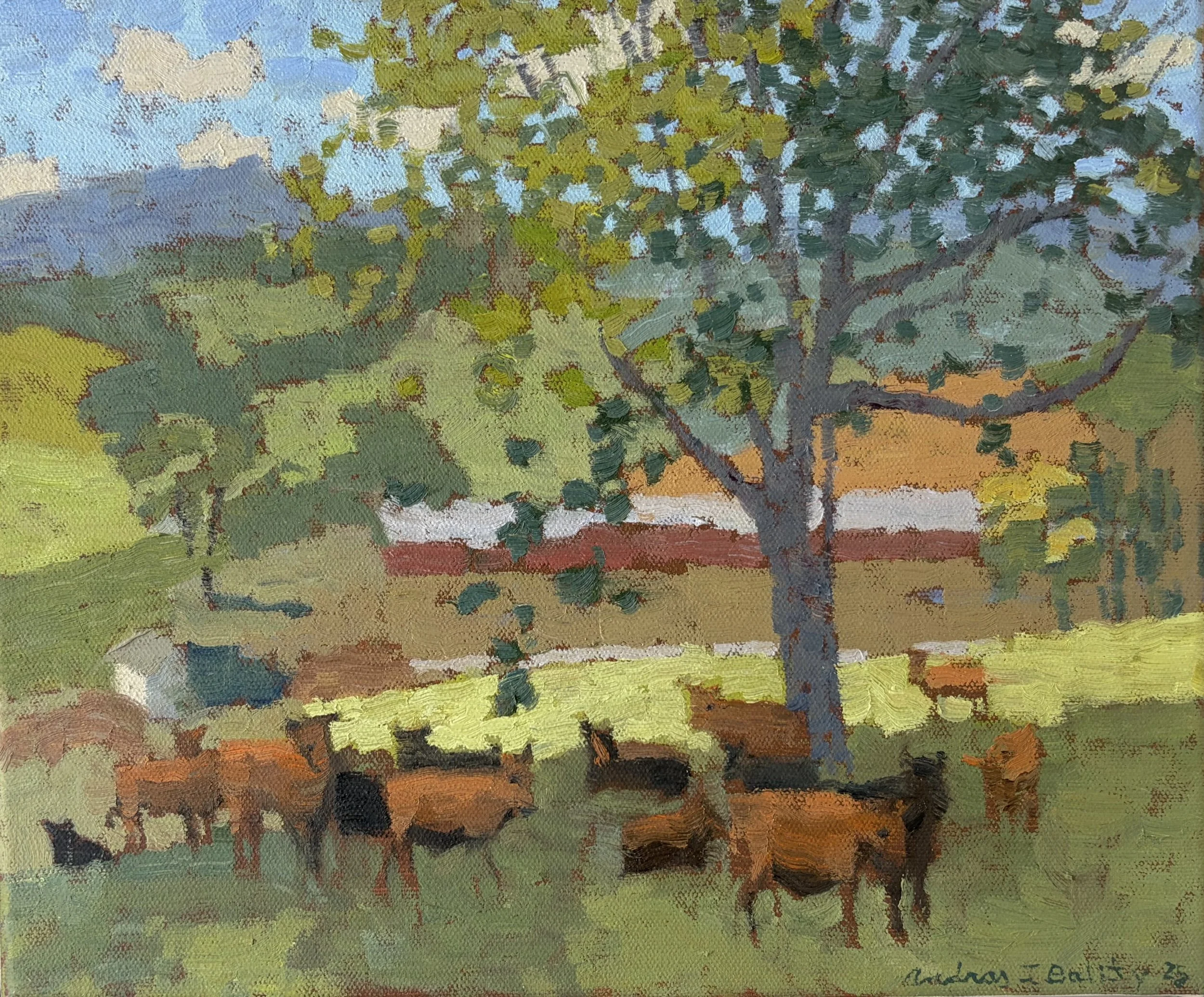 Red Cows of Verdant Acres  Farm