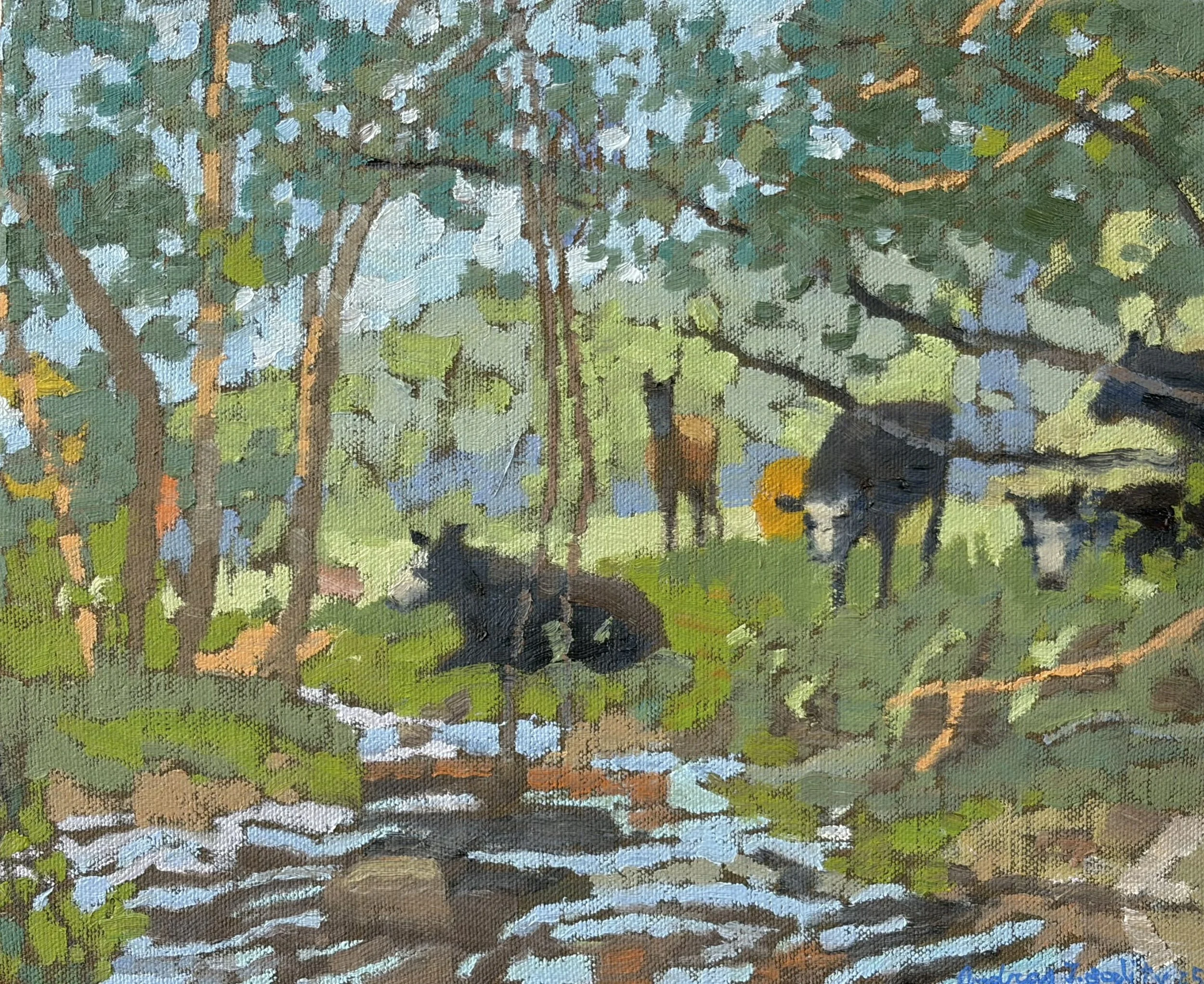 Cows at Bottom Near Longview Creek 