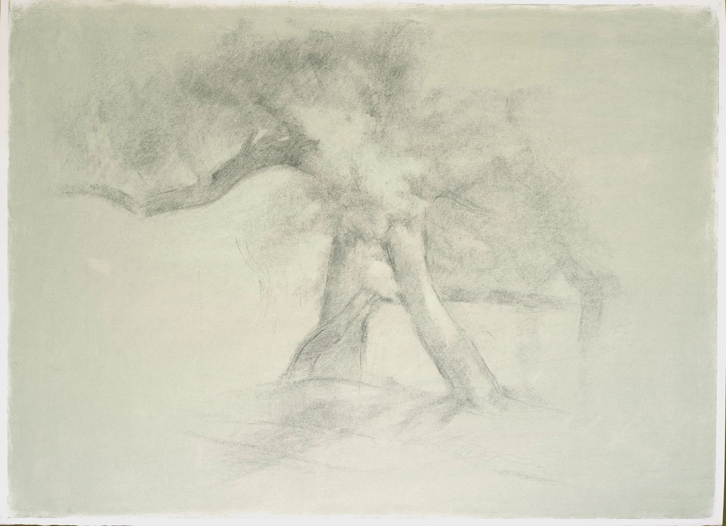 Jan Knipe
