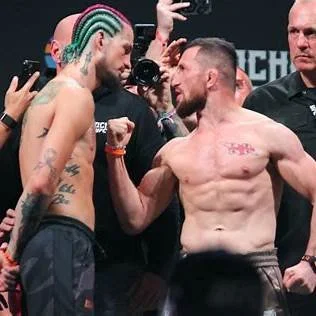 UFC 316 - What to Expect and Predictions