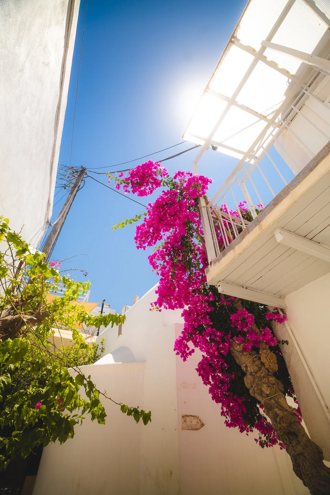 GREECE-07687.jpg