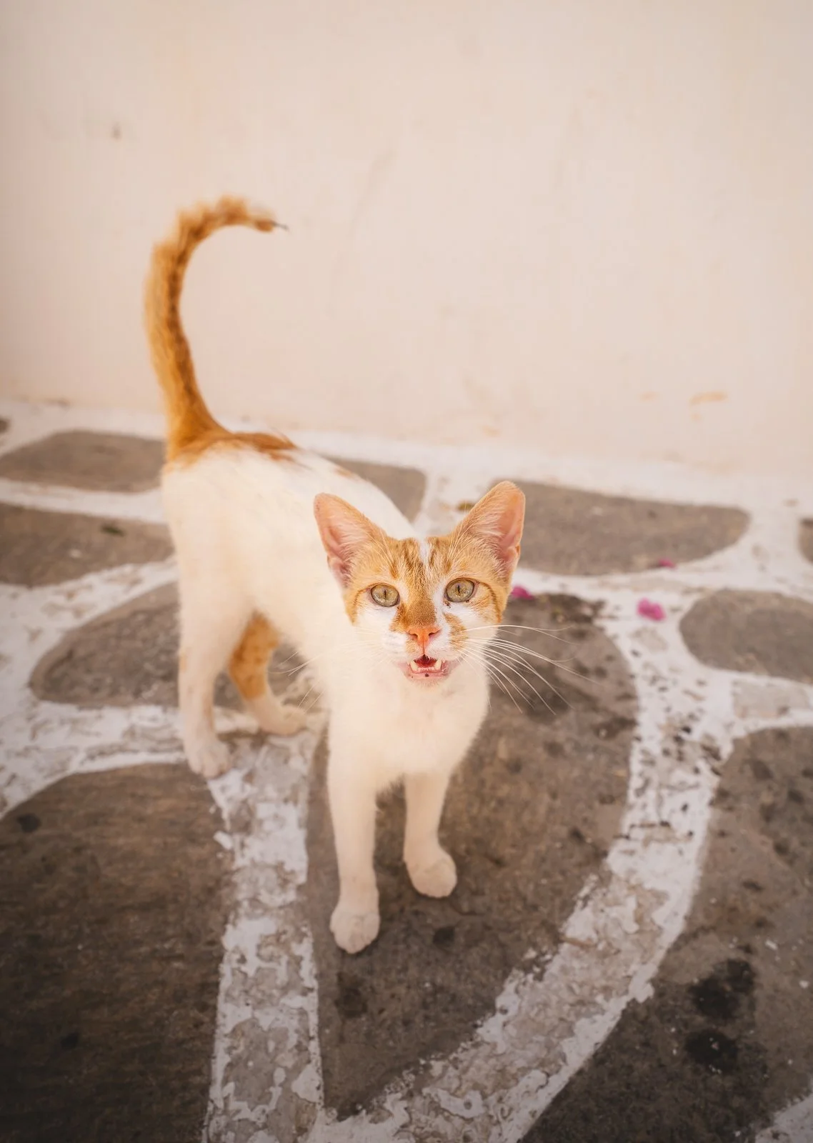GREECE-07619.jpg