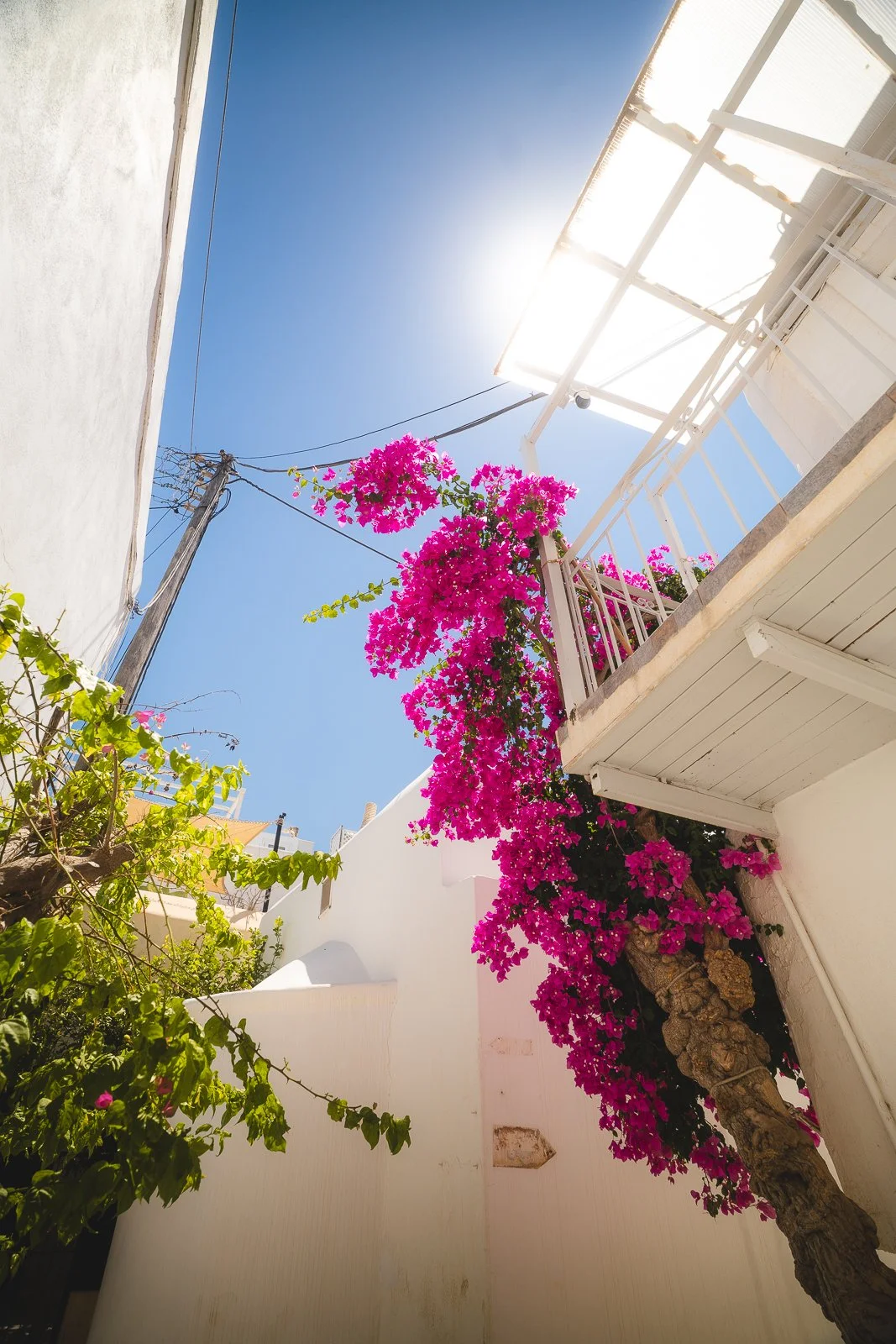 GREECE-07687.jpg
