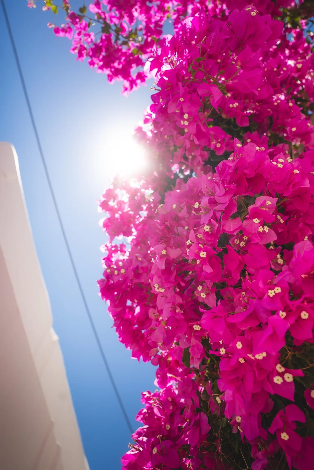 GREECE-07692.jpg